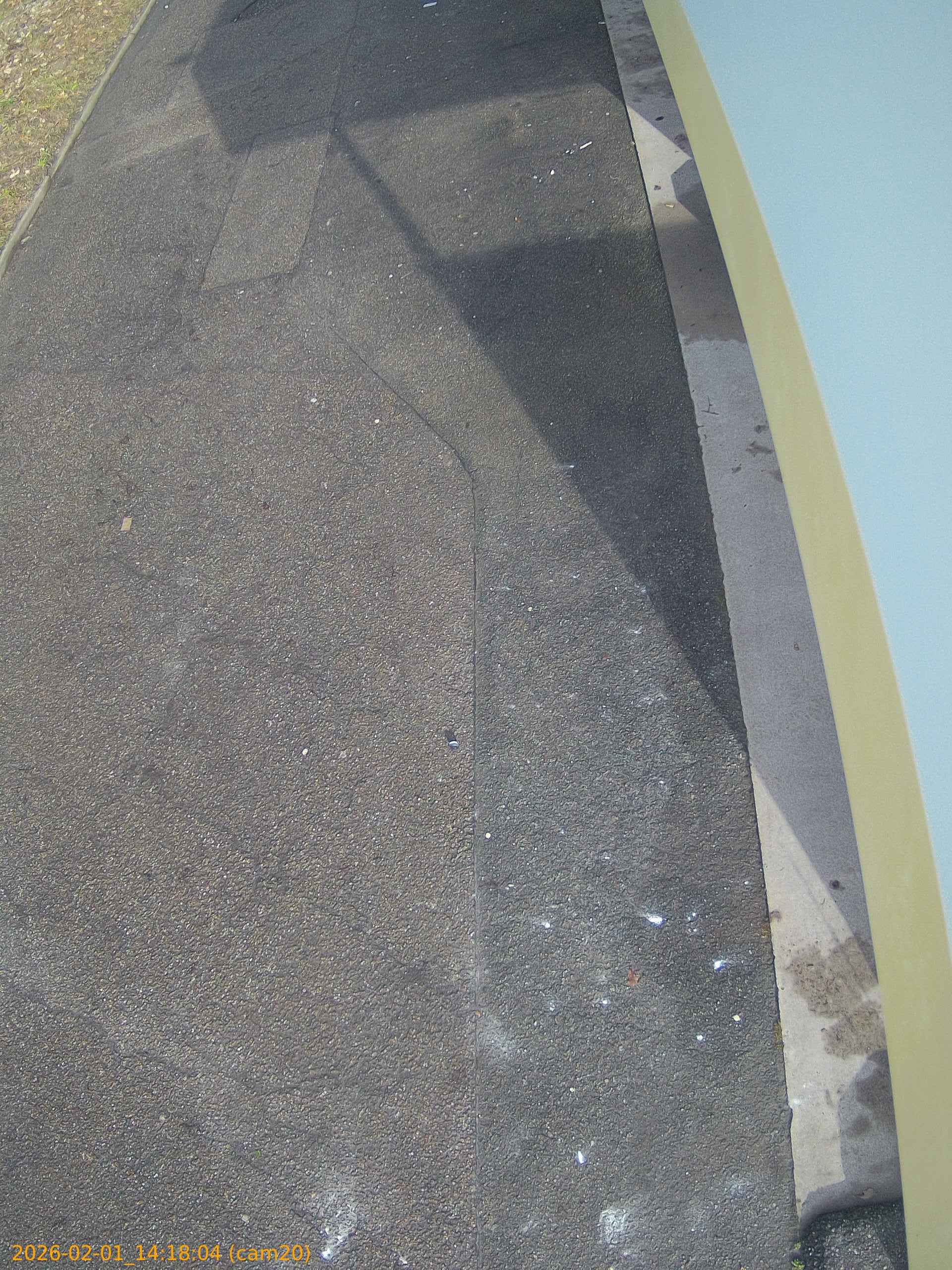 thumbnail_20260201141804