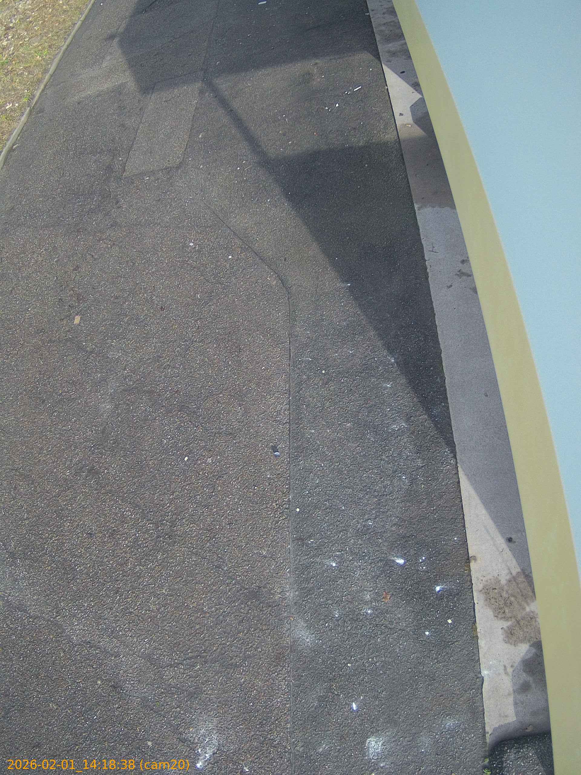 thumbnail_20260201141838