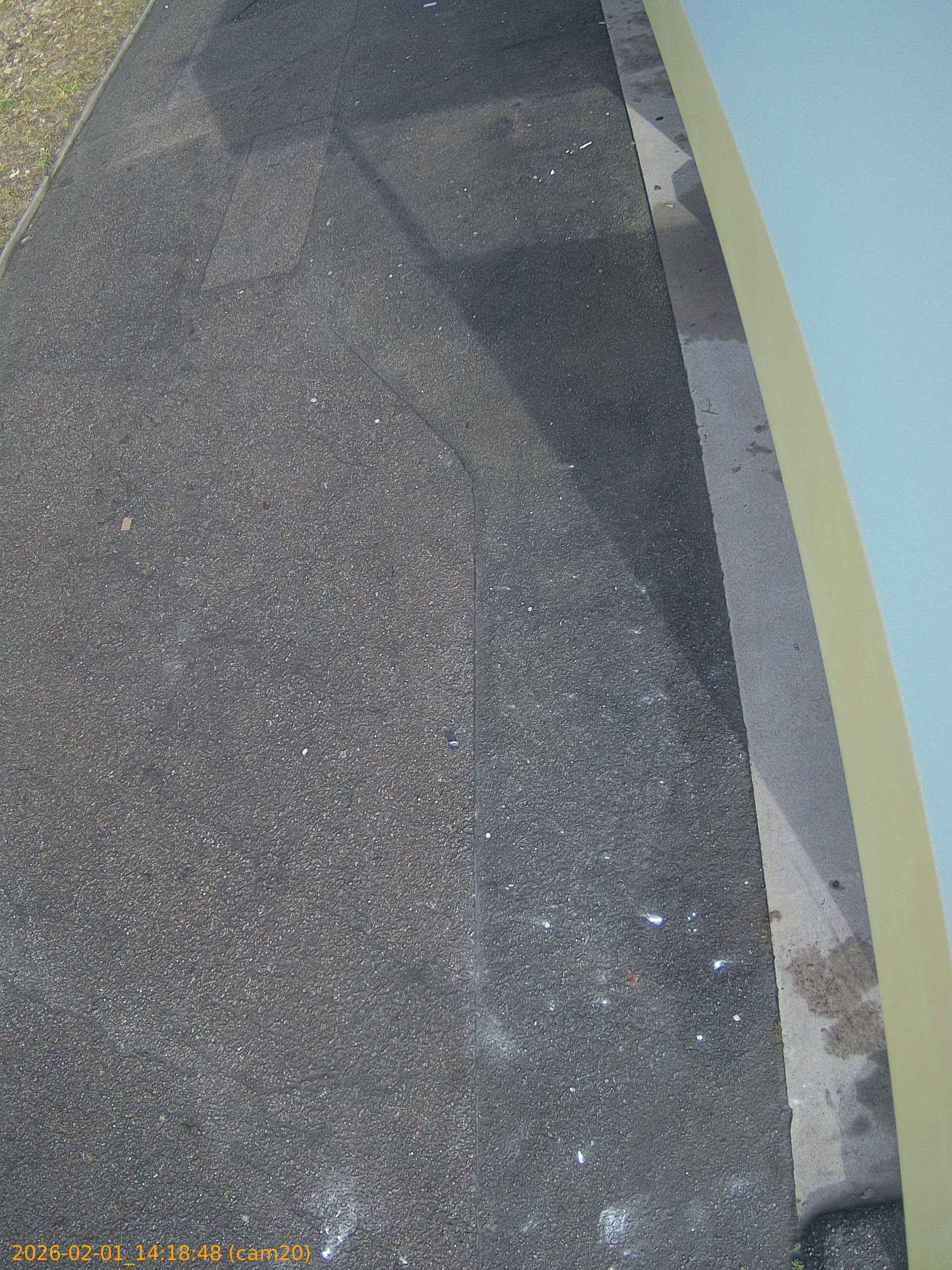 thumbnail_20260201141848