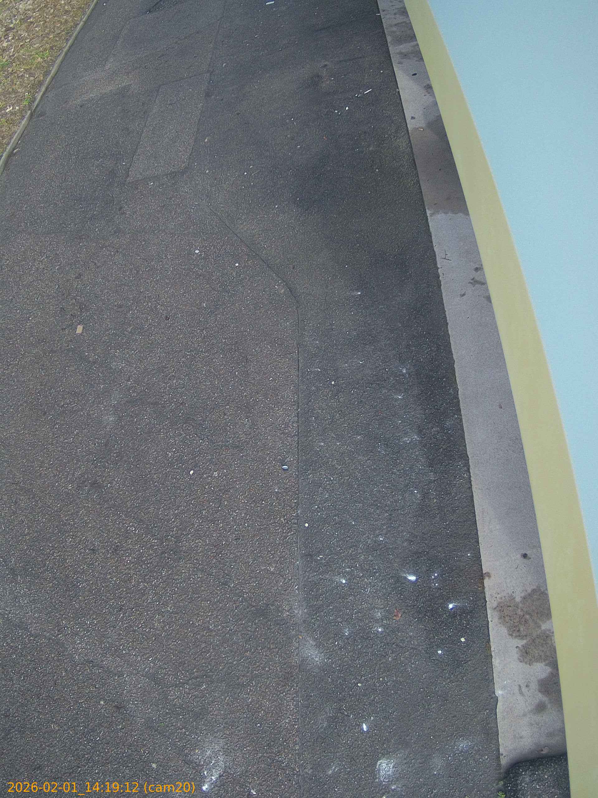 thumbnail_20260201141912