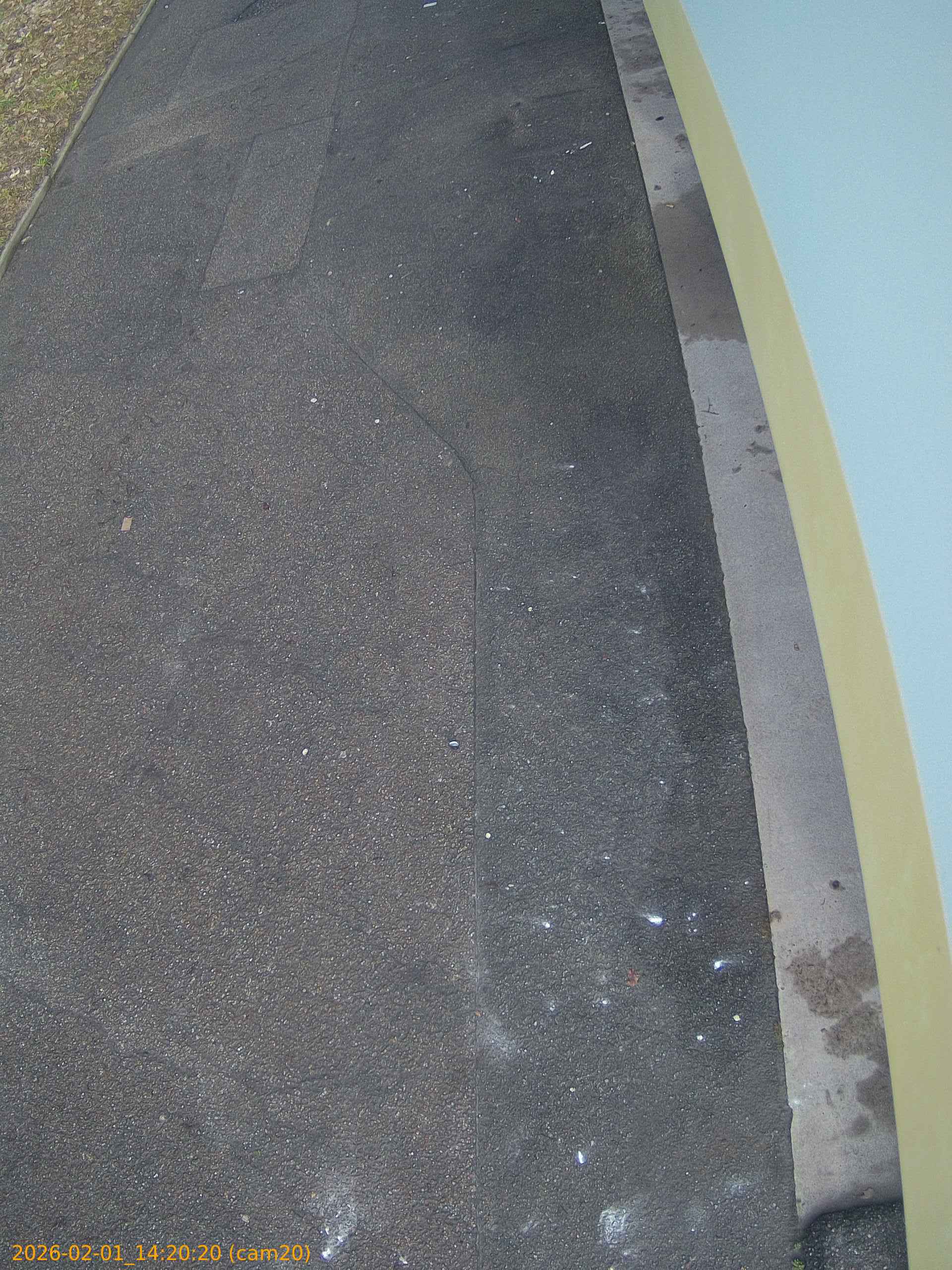 thumbnail_20260201142020