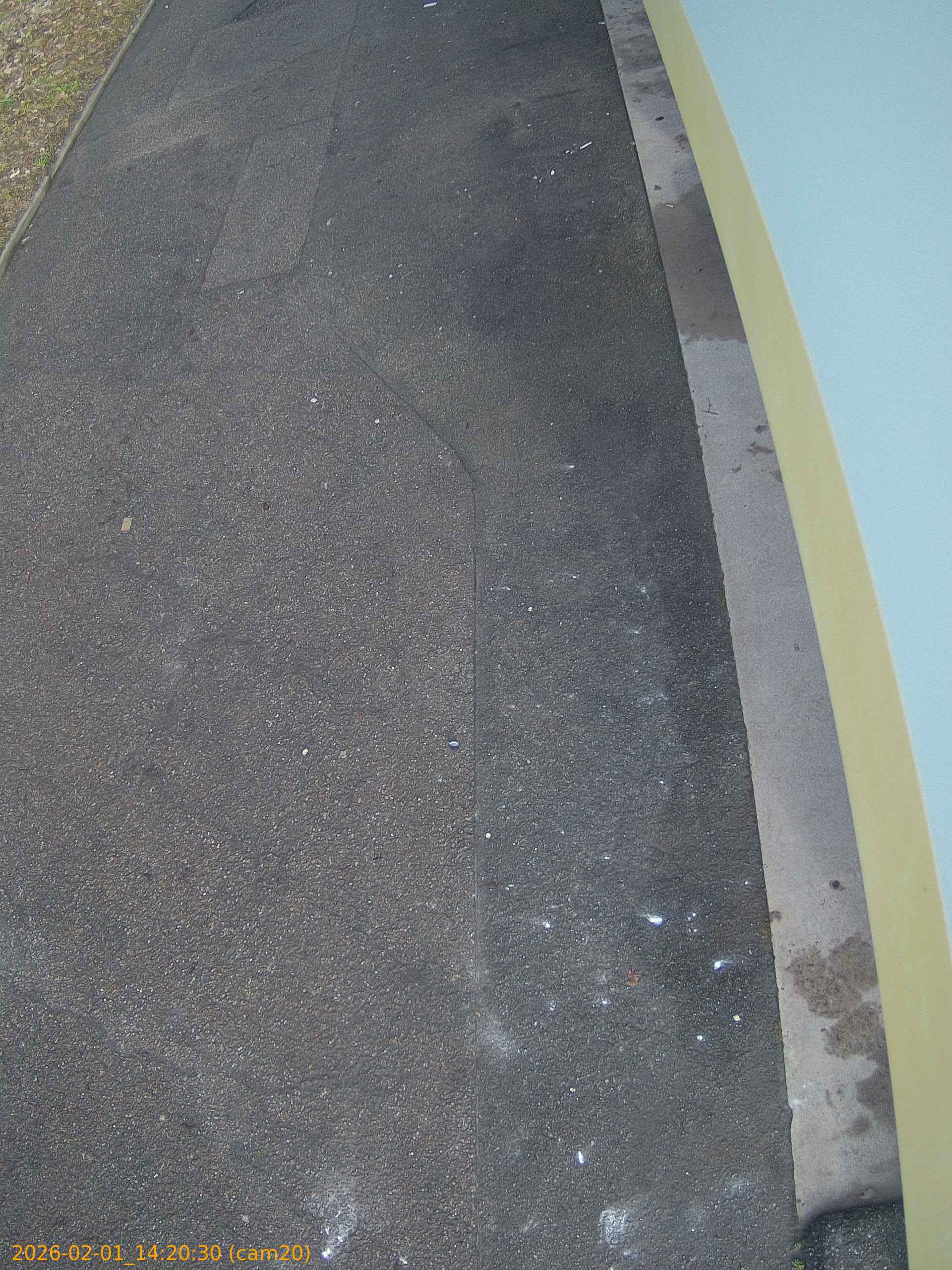 thumbnail_20260201142030