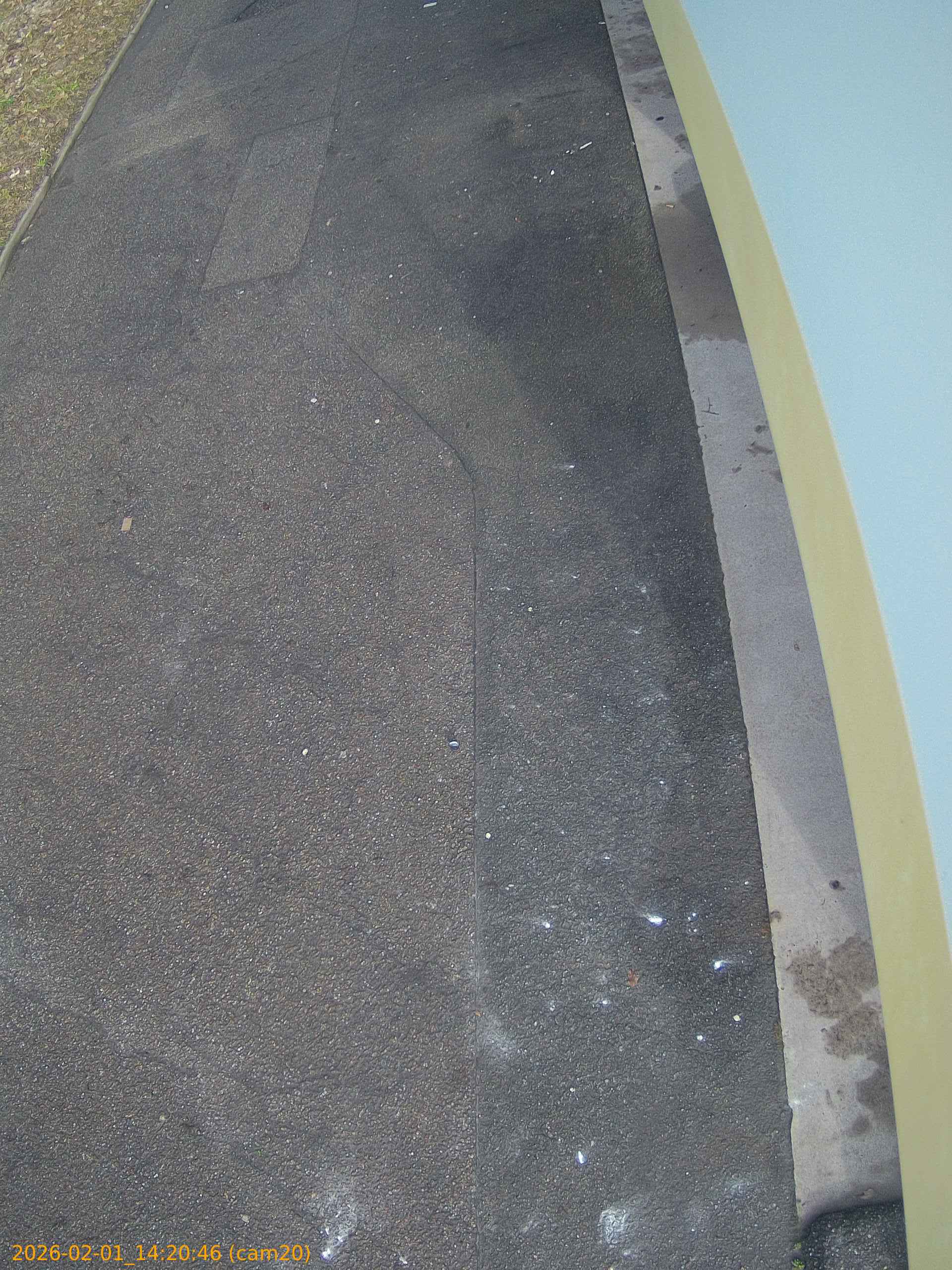 thumbnail_20260201142046