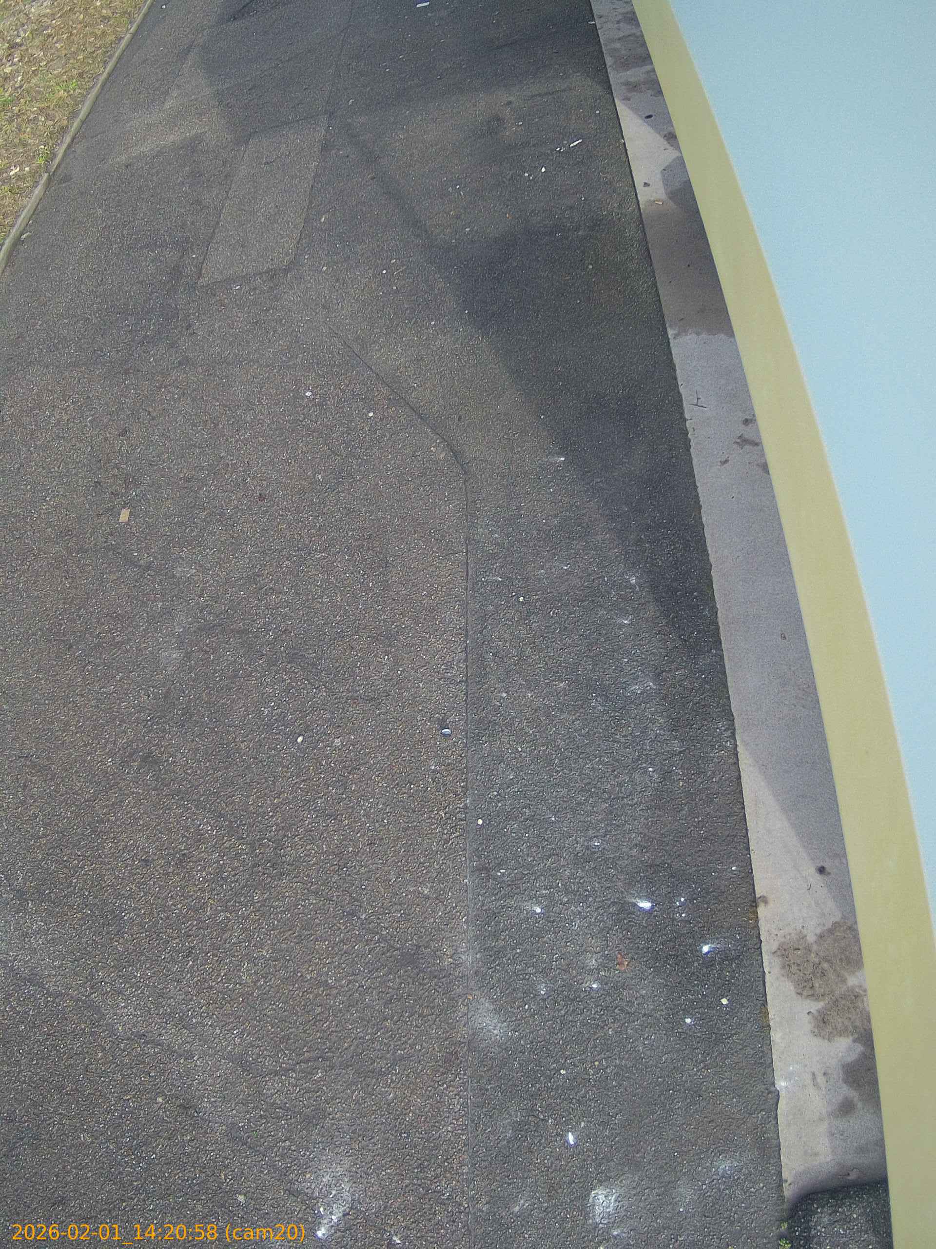 thumbnail_20260201142058