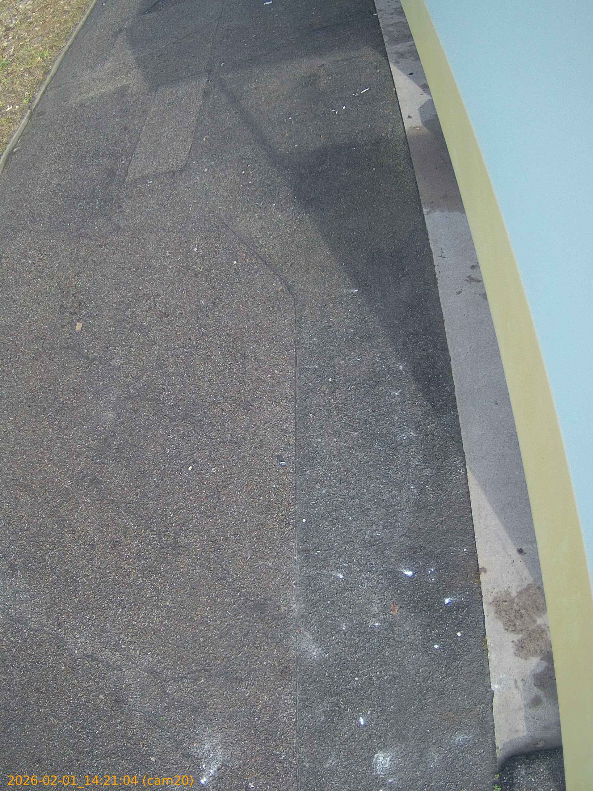 thumbnail_20260201142104