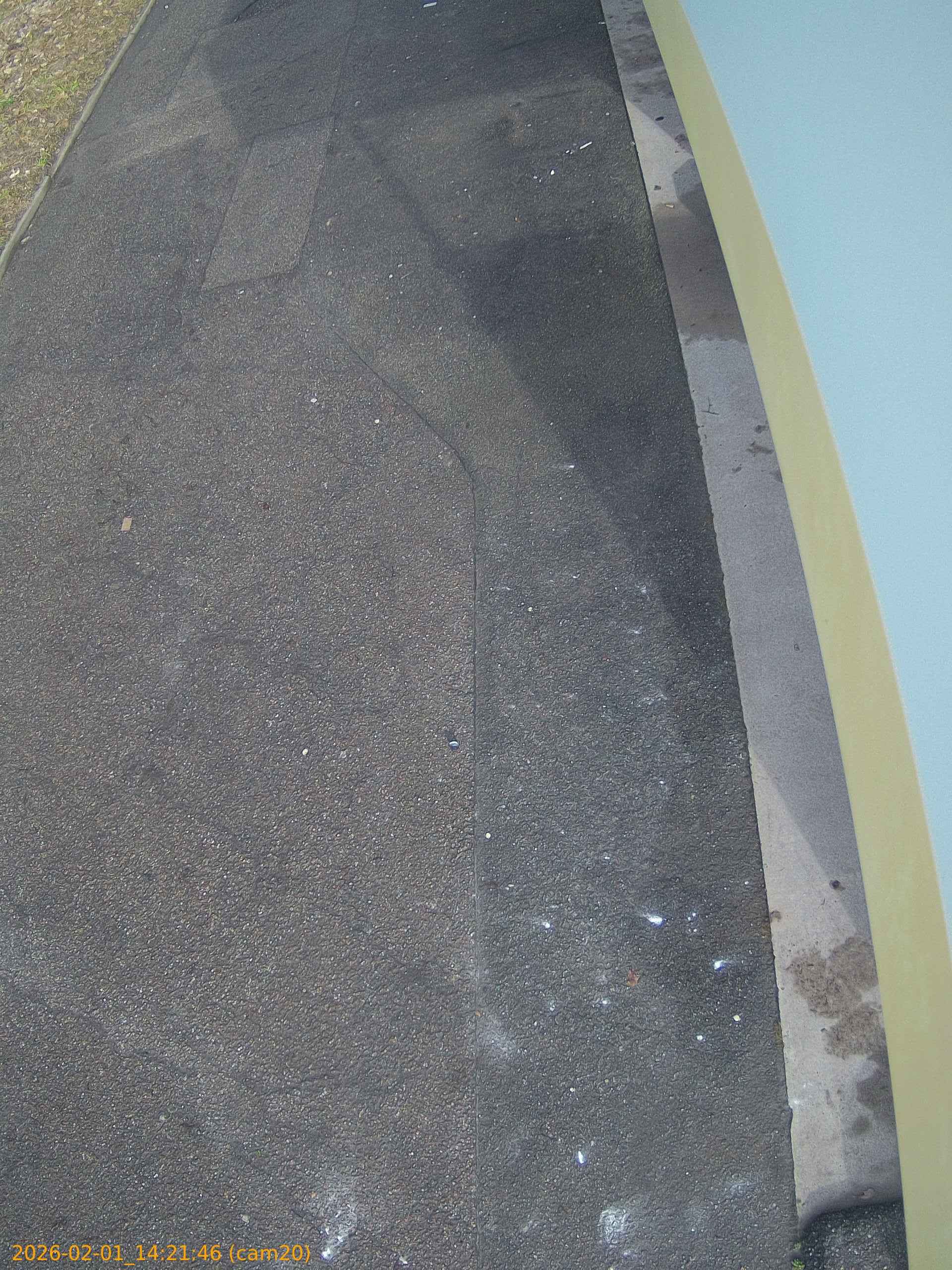 thumbnail_20260201142146