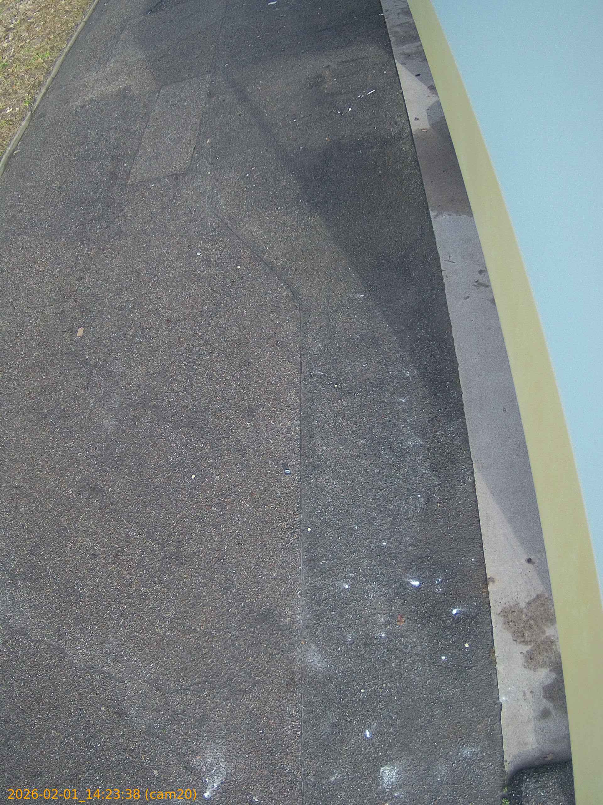 thumbnail_20260201142338