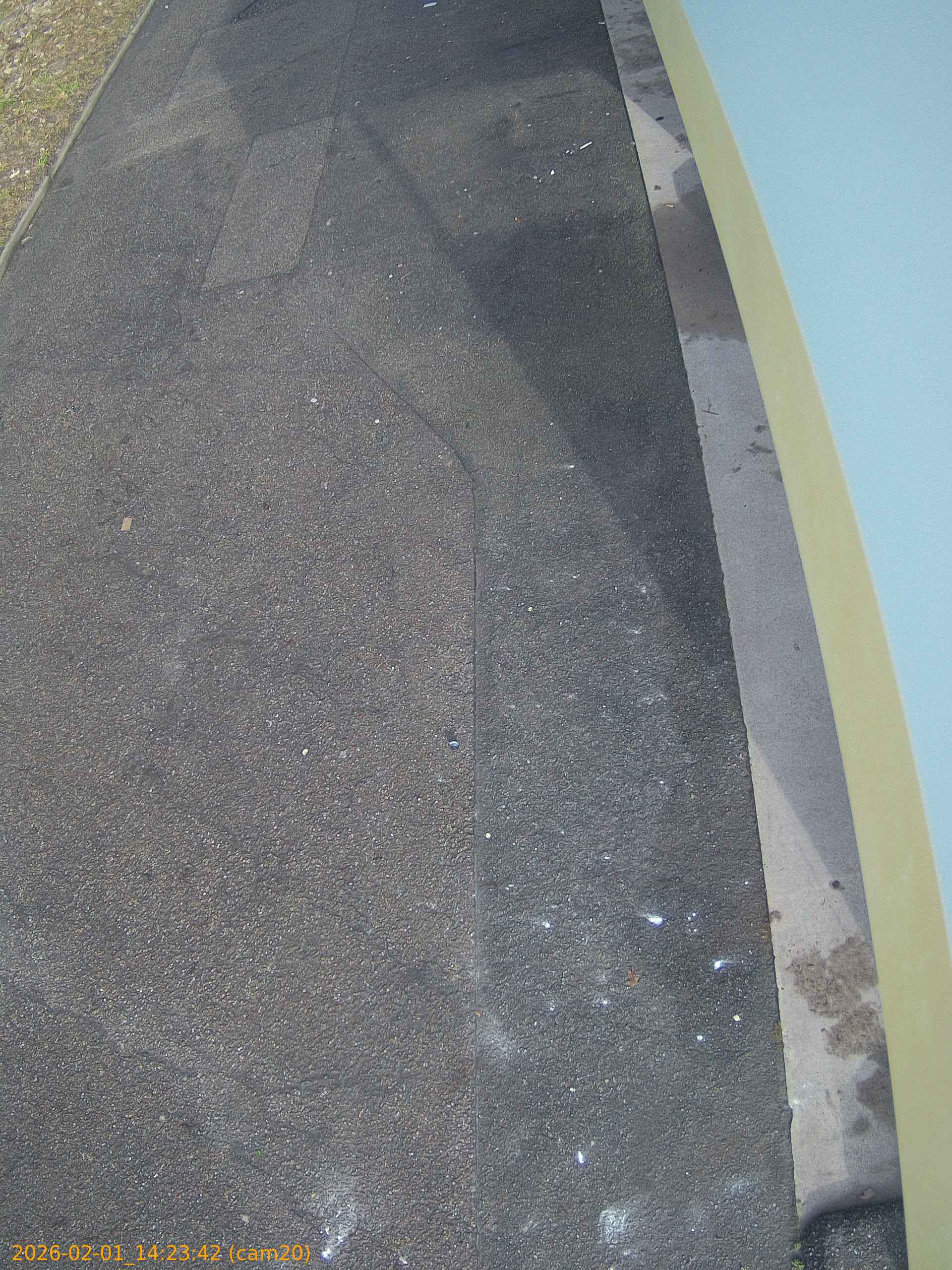 thumbnail_20260201142342