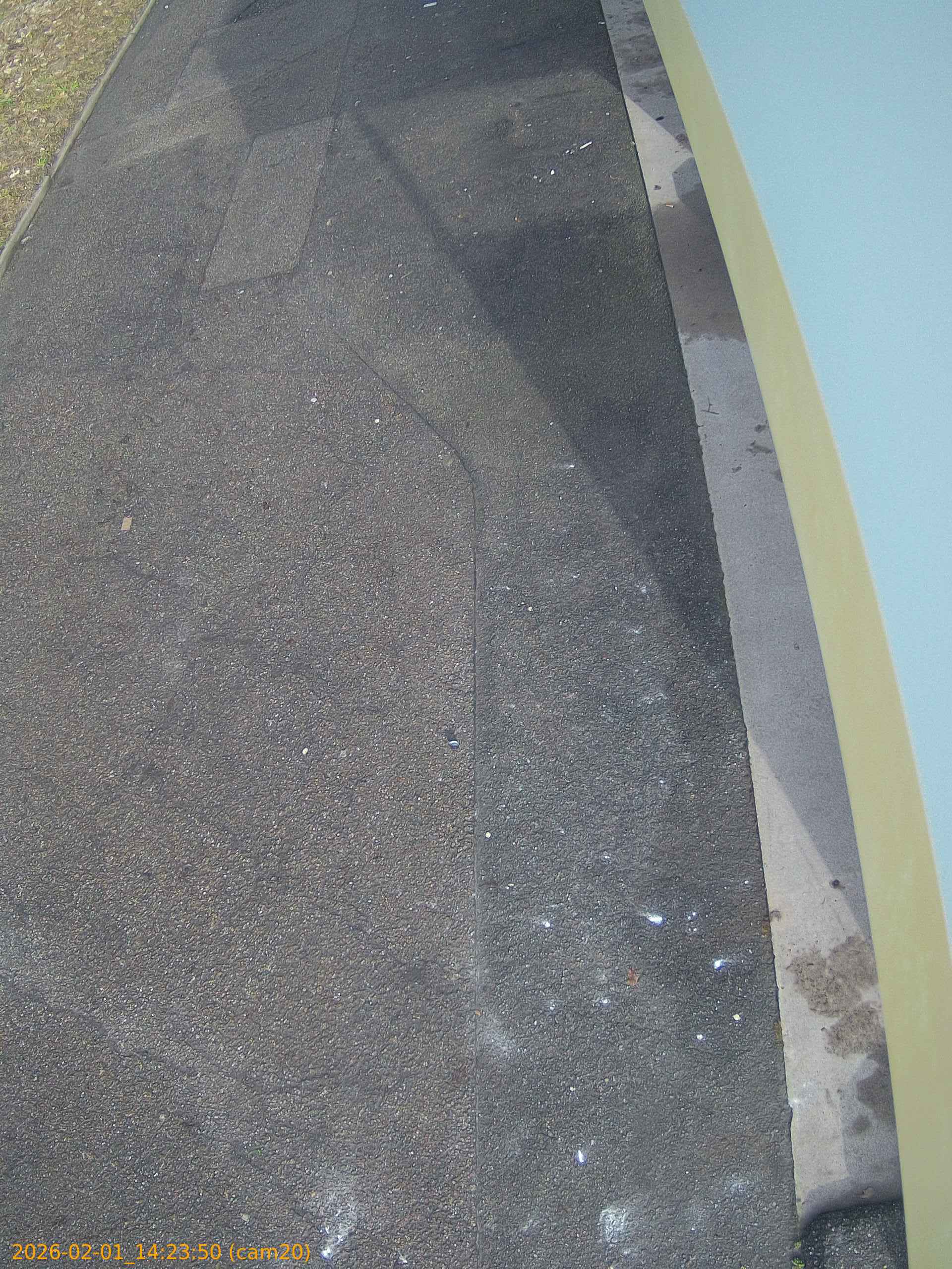 thumbnail_20260201142350