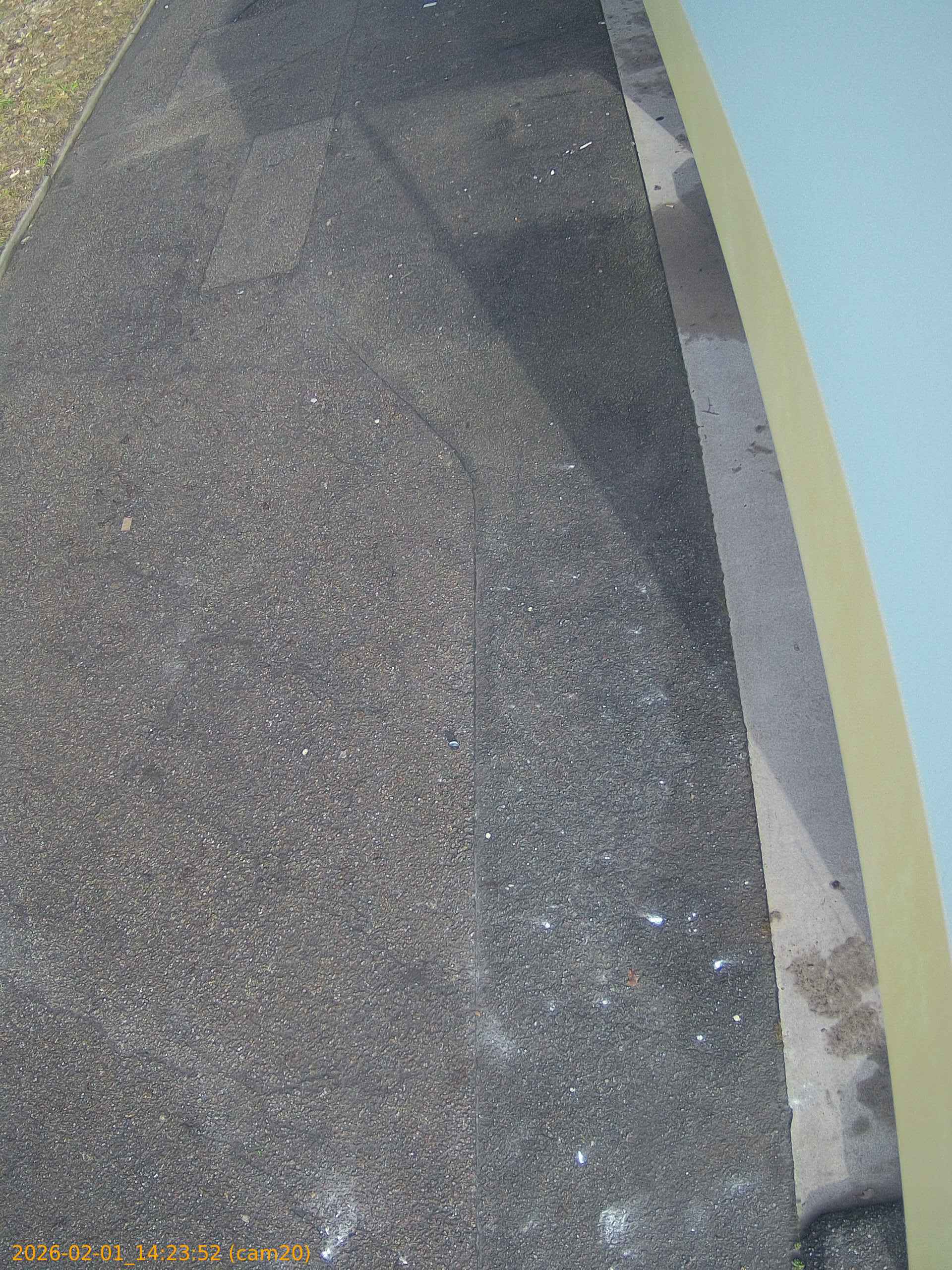 thumbnail_20260201142352