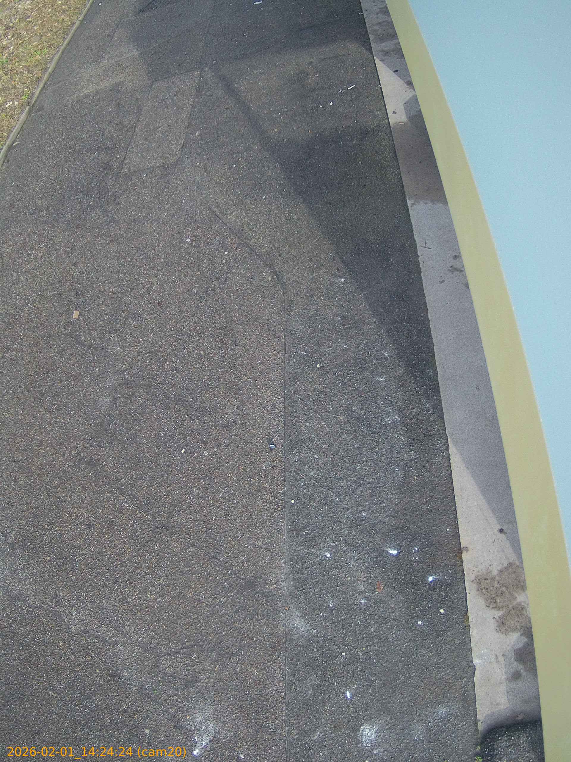 thumbnail_20260201142424