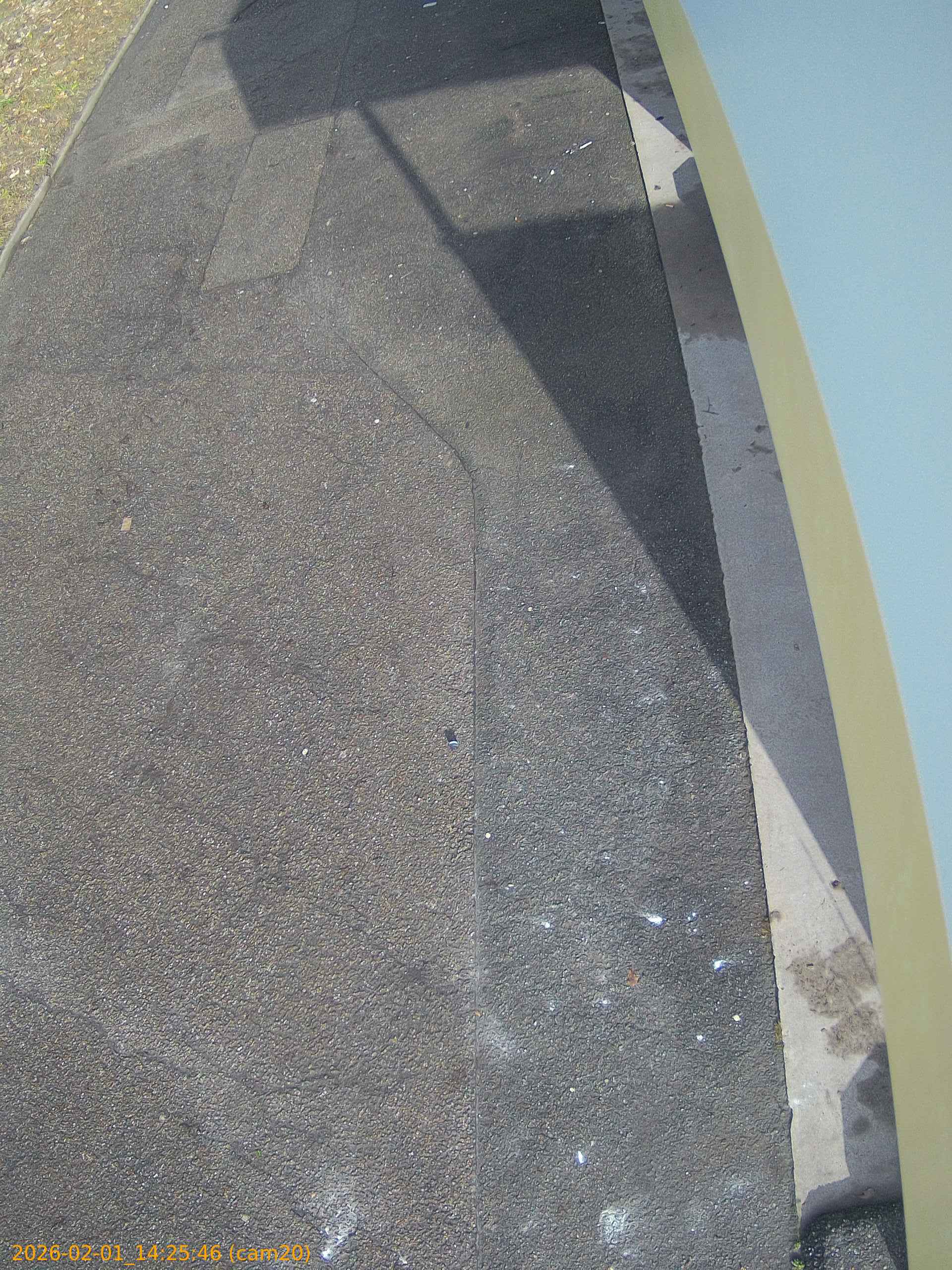 thumbnail_20260201142546