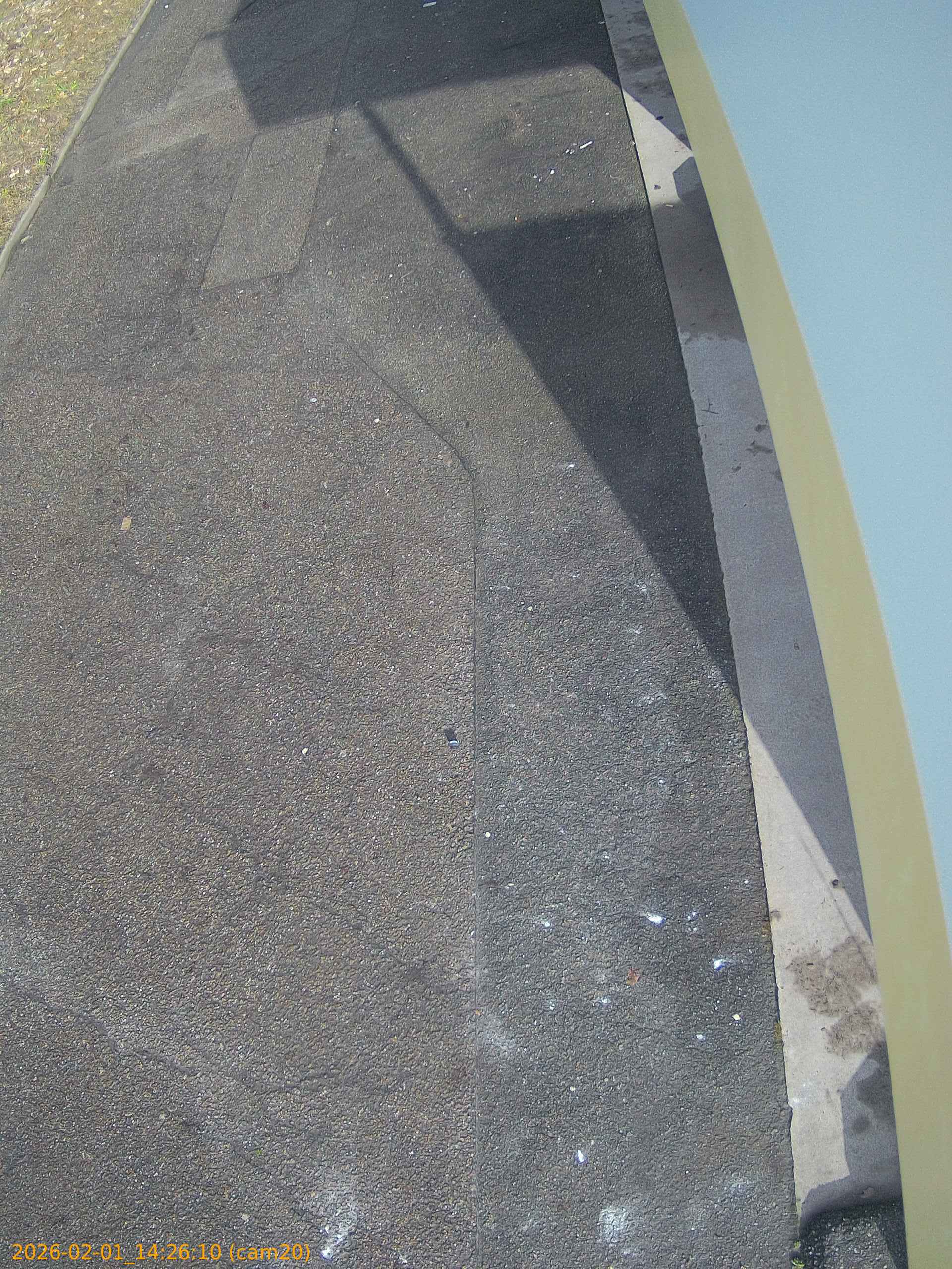 thumbnail_20260201142610