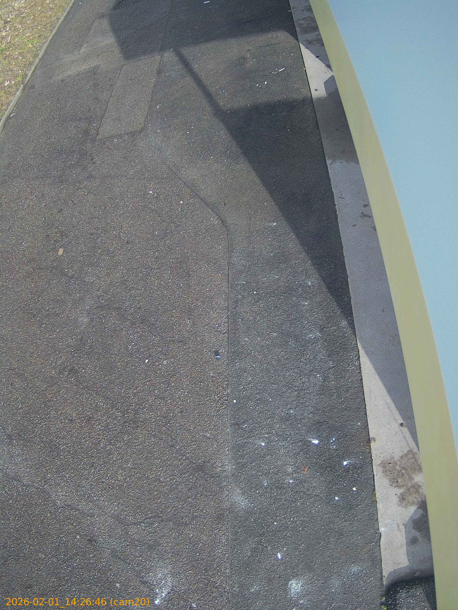 thumbnail_20260201142646