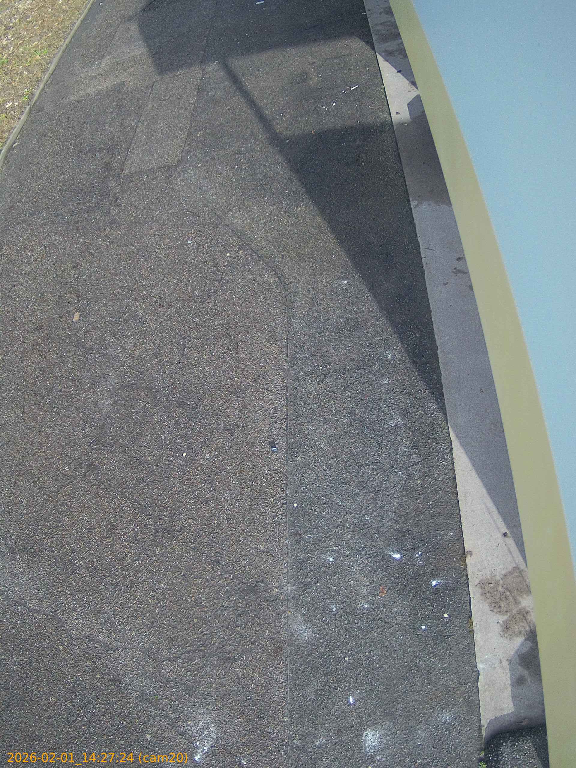 thumbnail_20260201142724