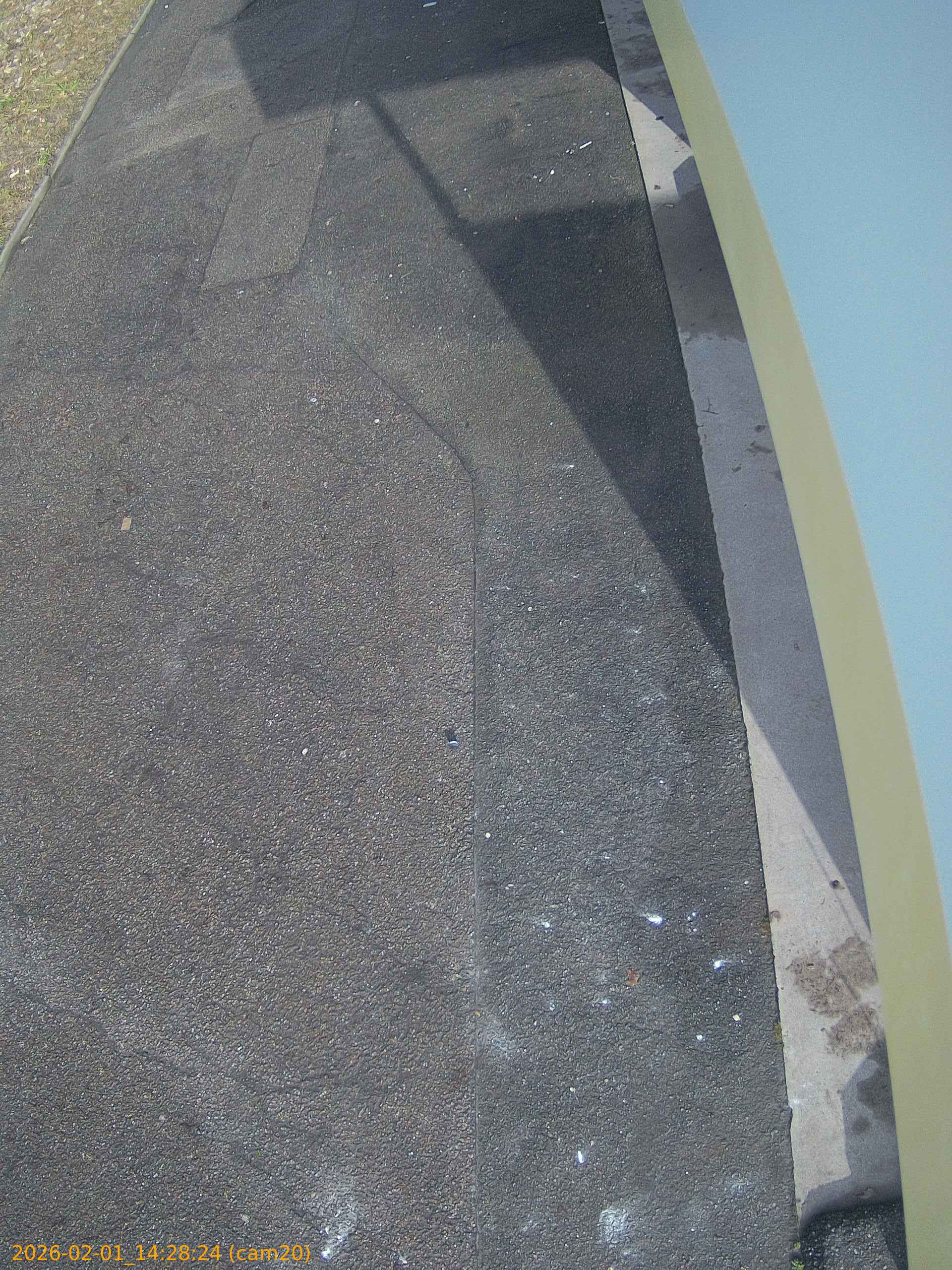 thumbnail_20260201142824