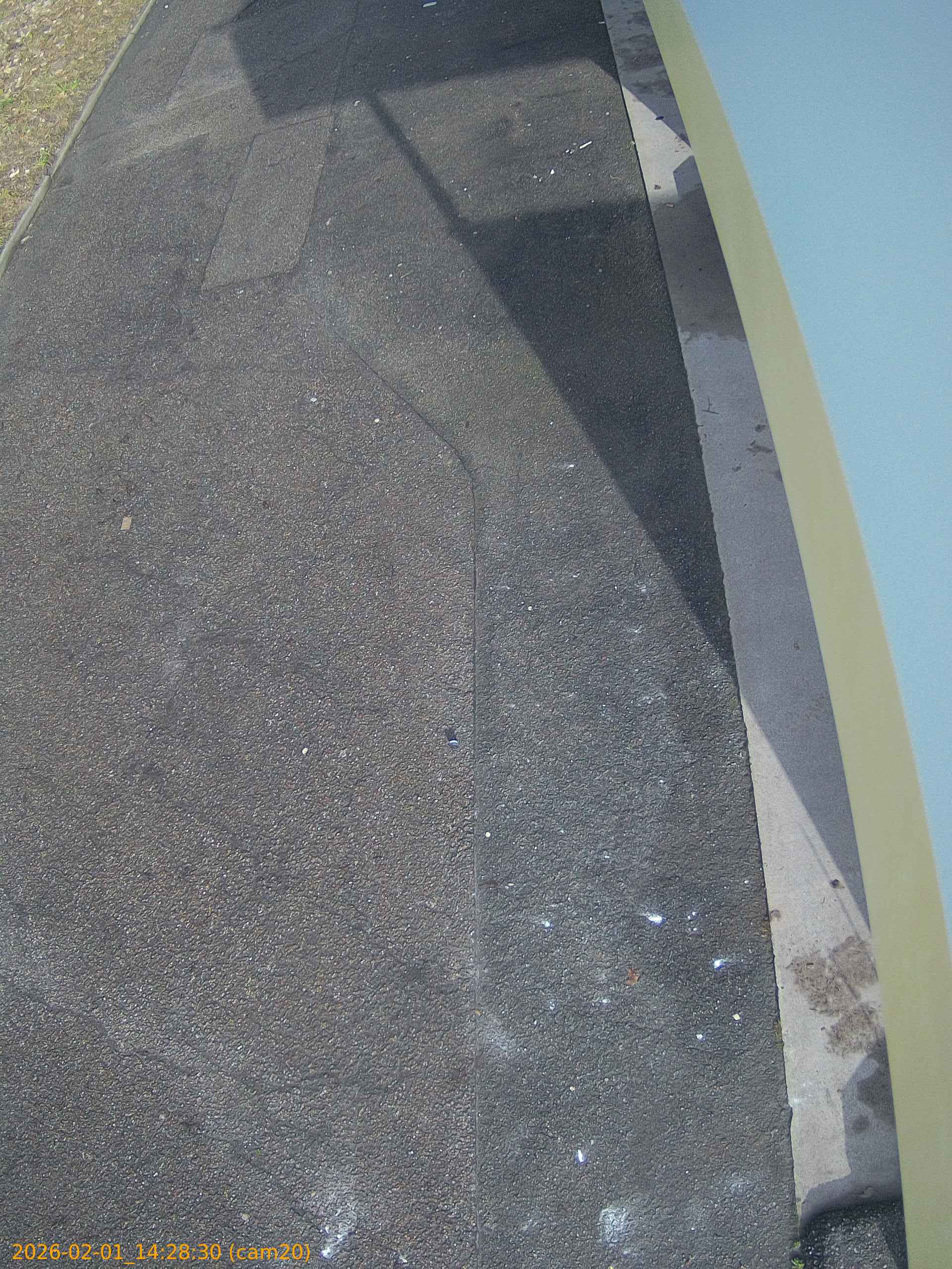 thumbnail_20260201142830