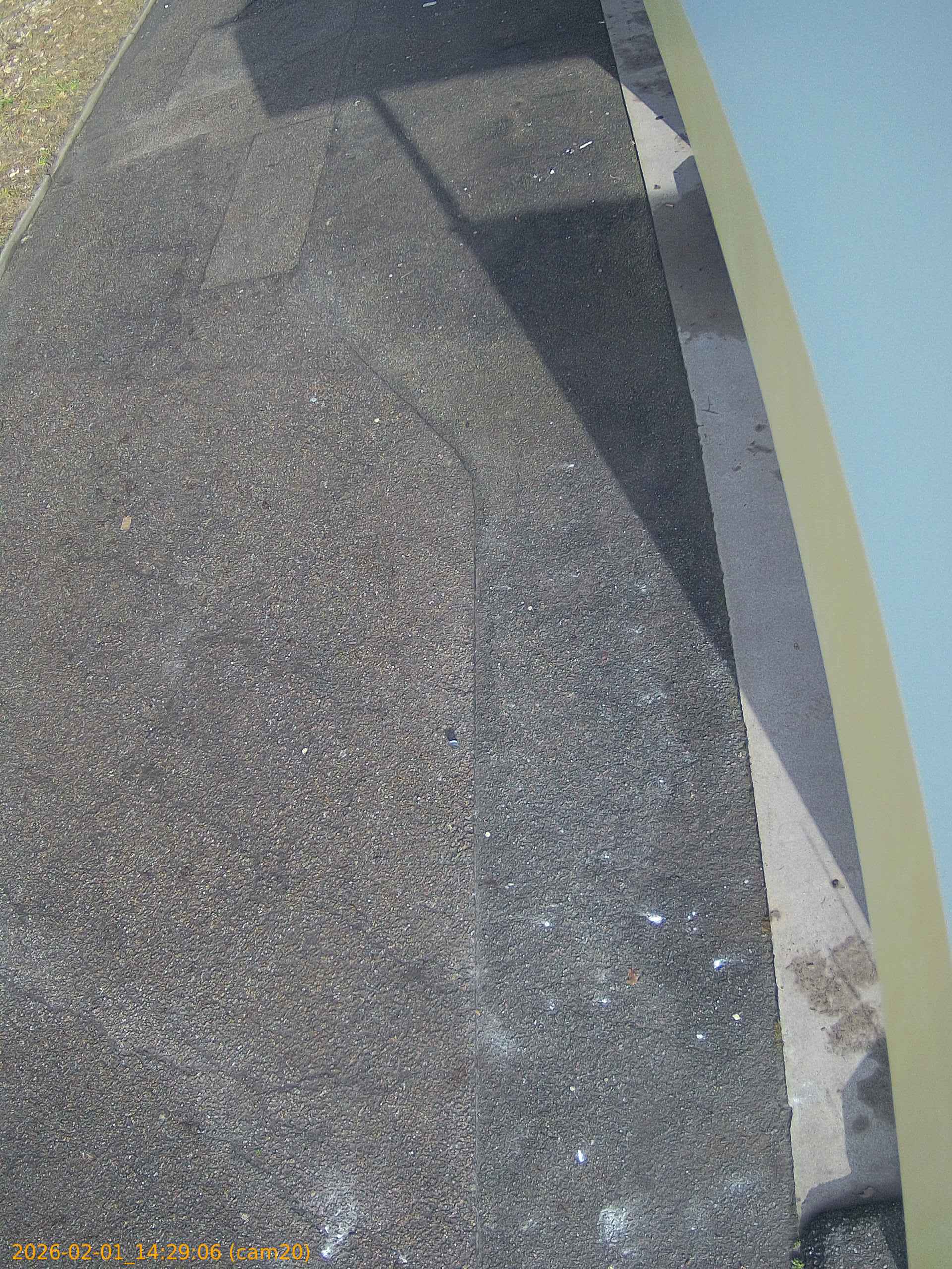 thumbnail_20260201142906