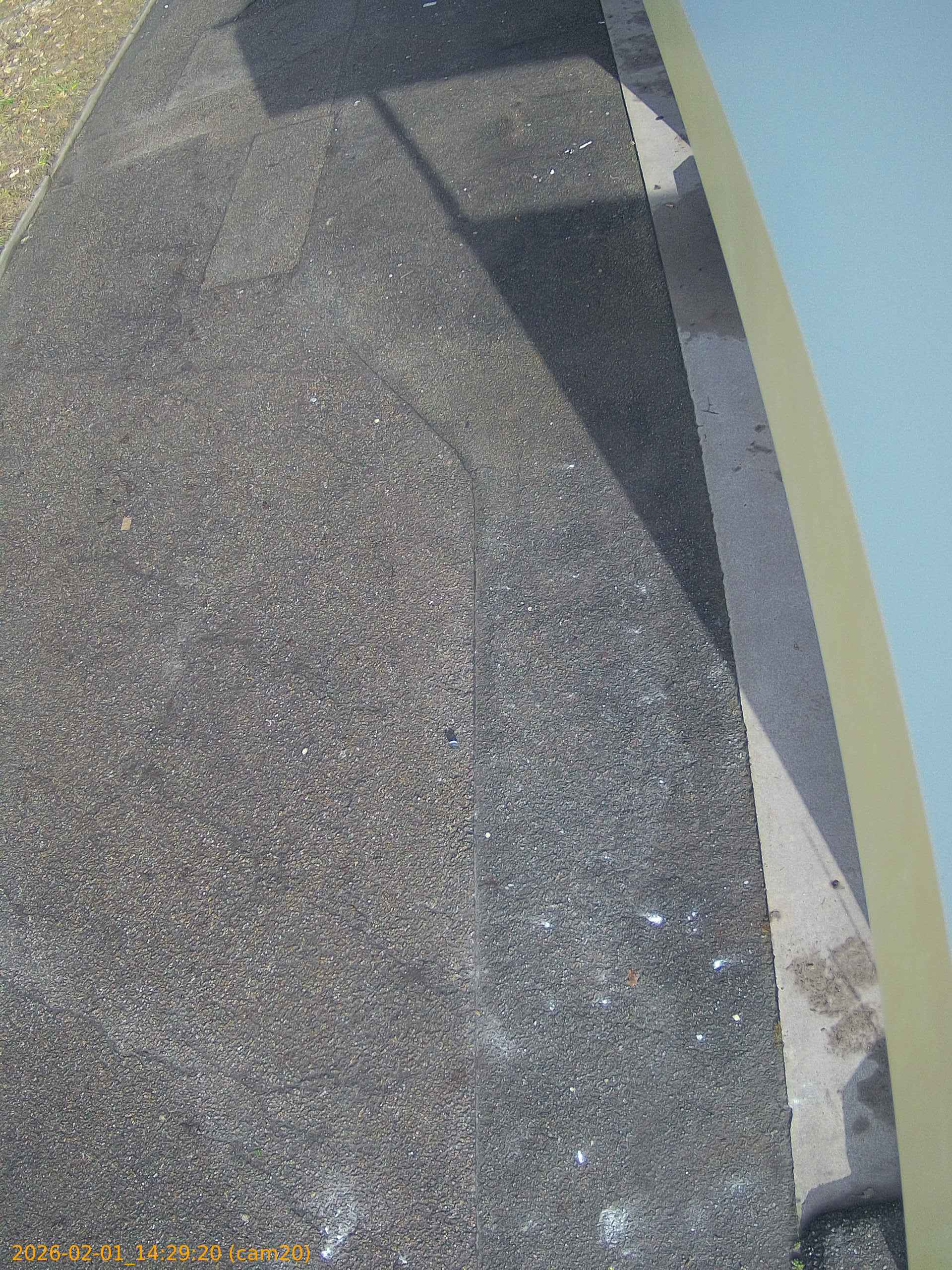 thumbnail_20260201142920