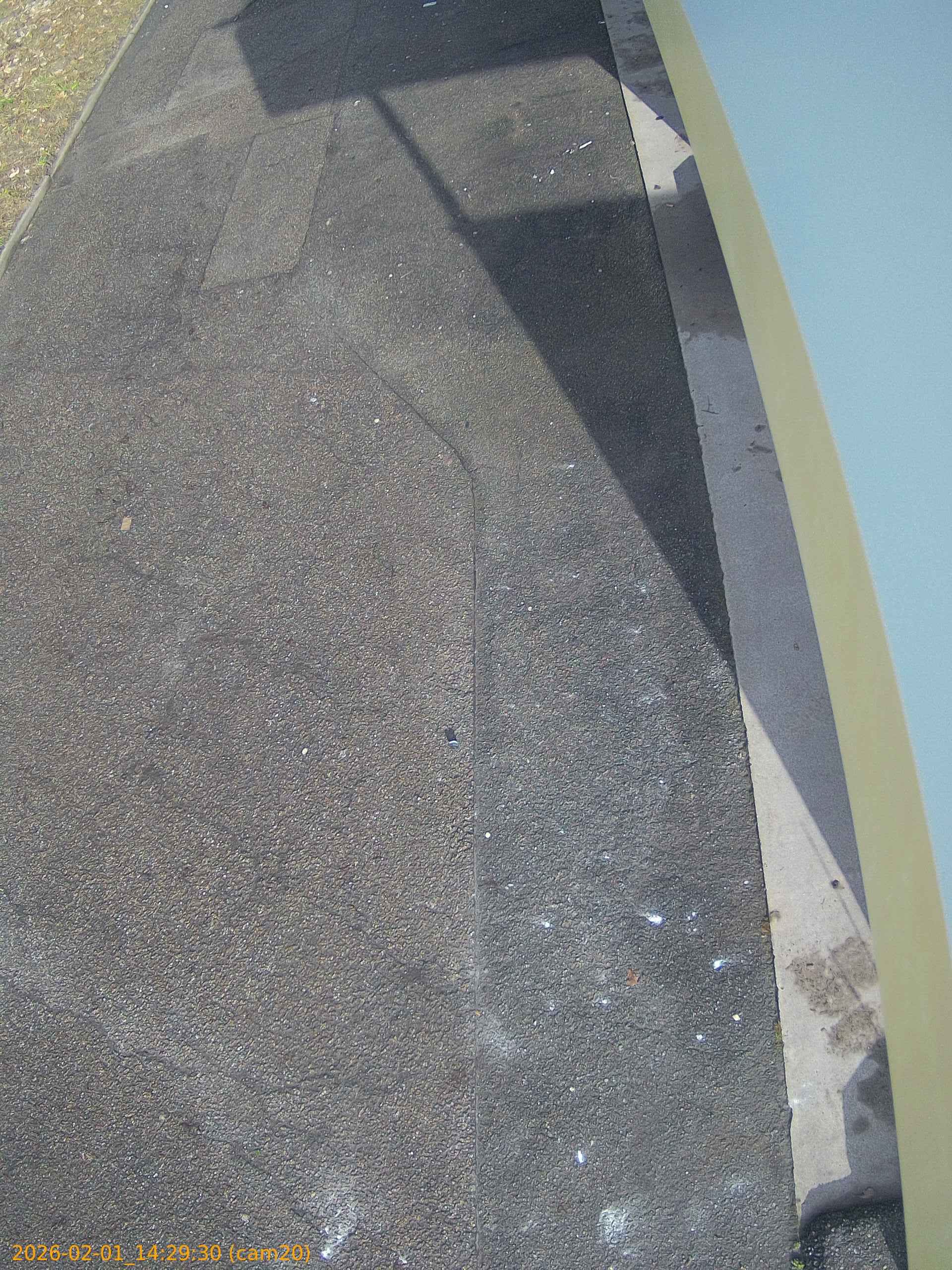 thumbnail_20260201142930