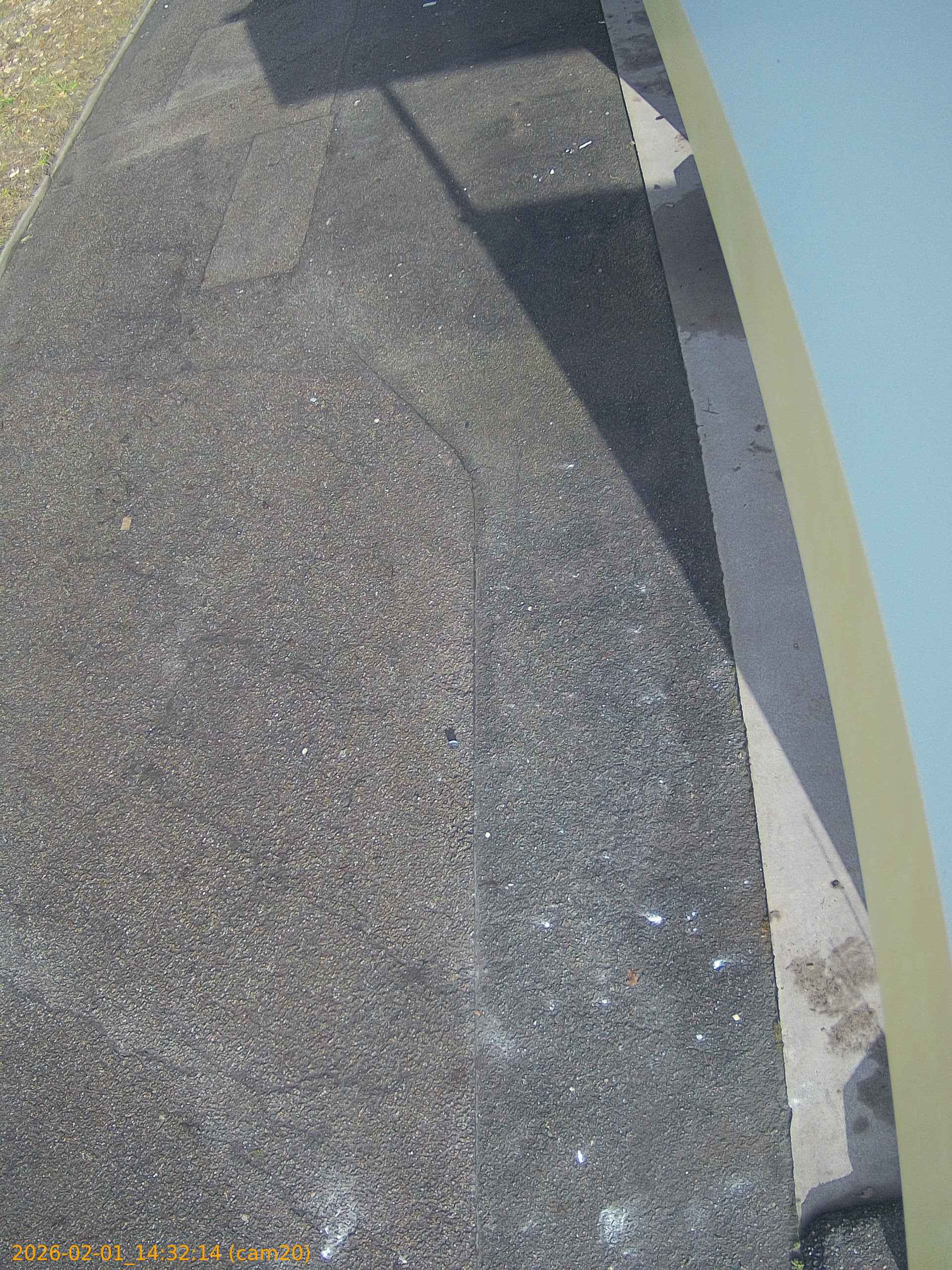 thumbnail_20260201143214