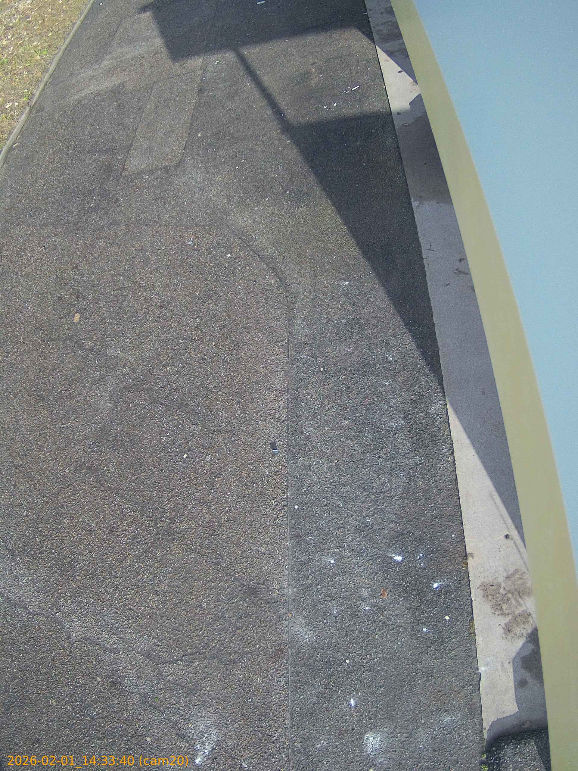 thumbnail_20260201143340