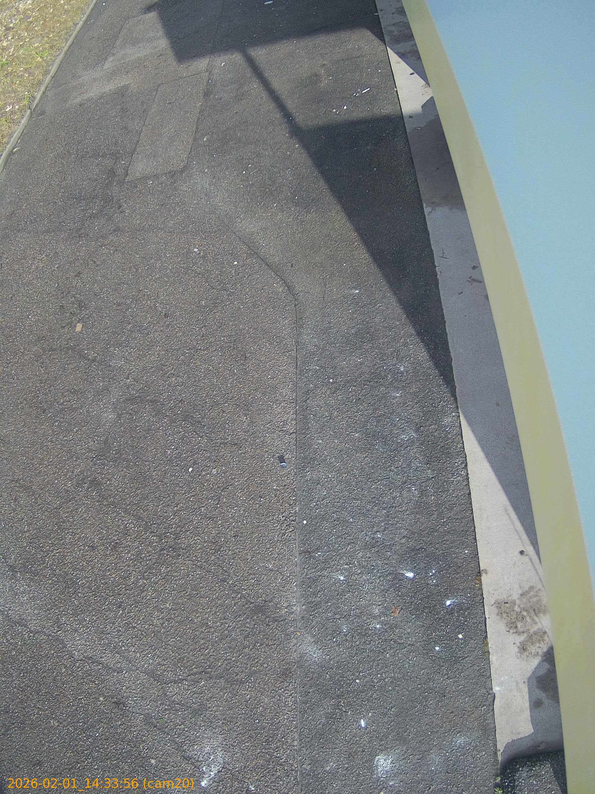 thumbnail_20260201143356