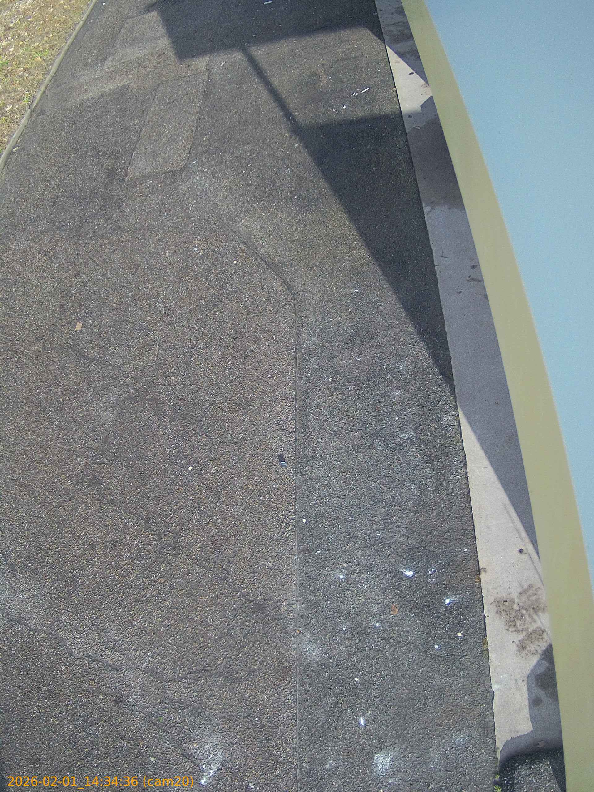 thumbnail_20260201143436