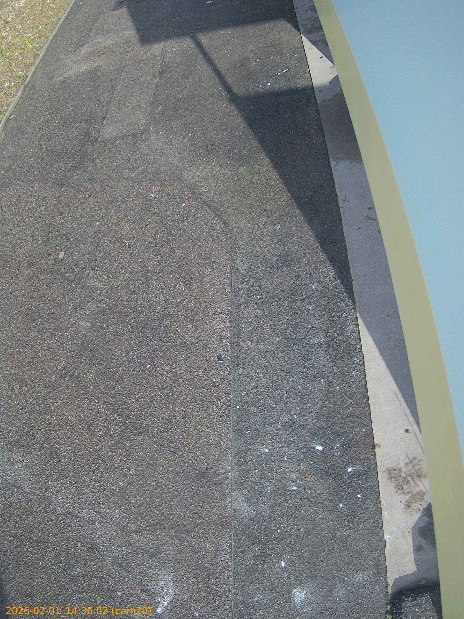 thumbnail_20260201143602