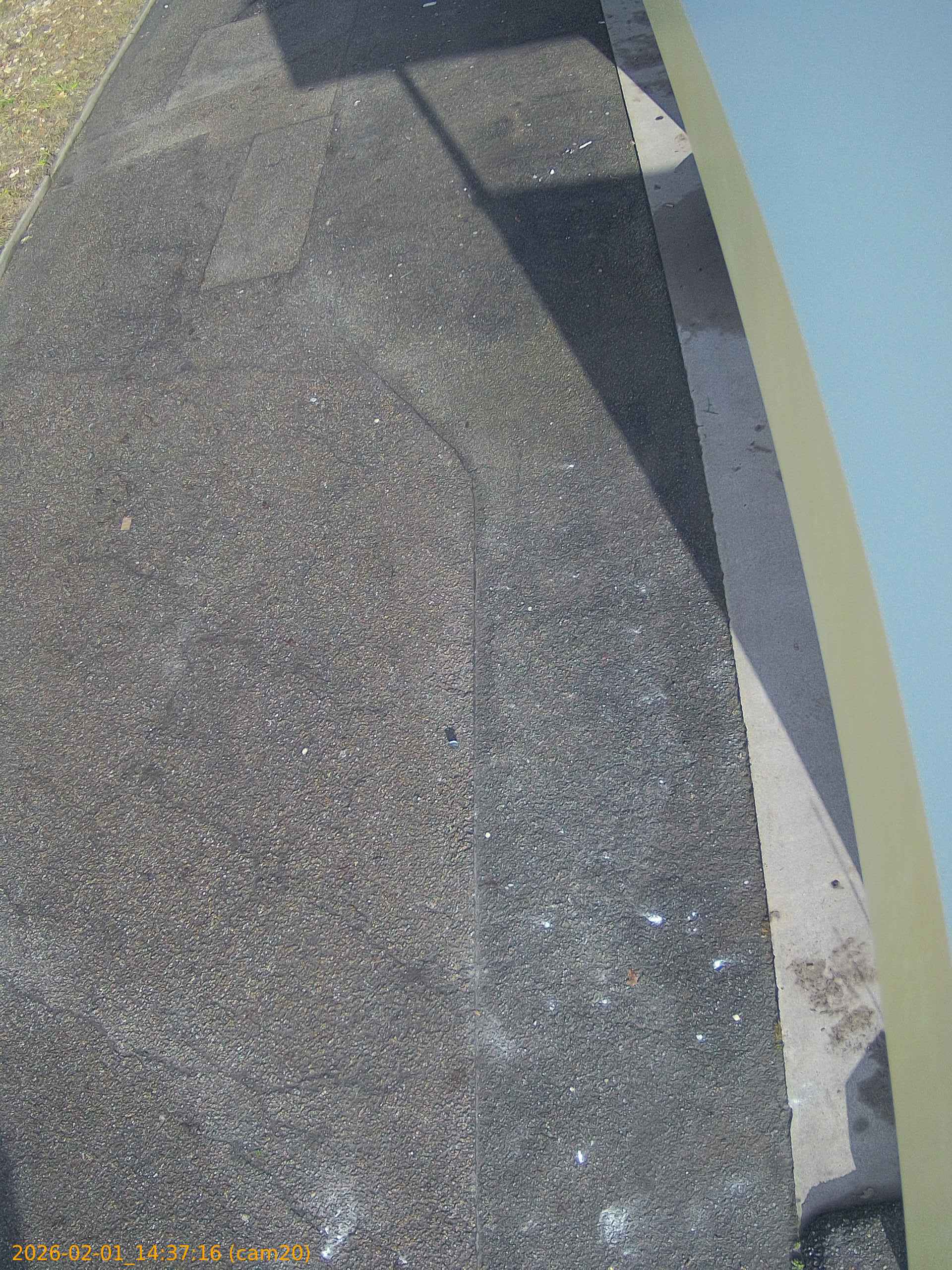 thumbnail_20260201143716