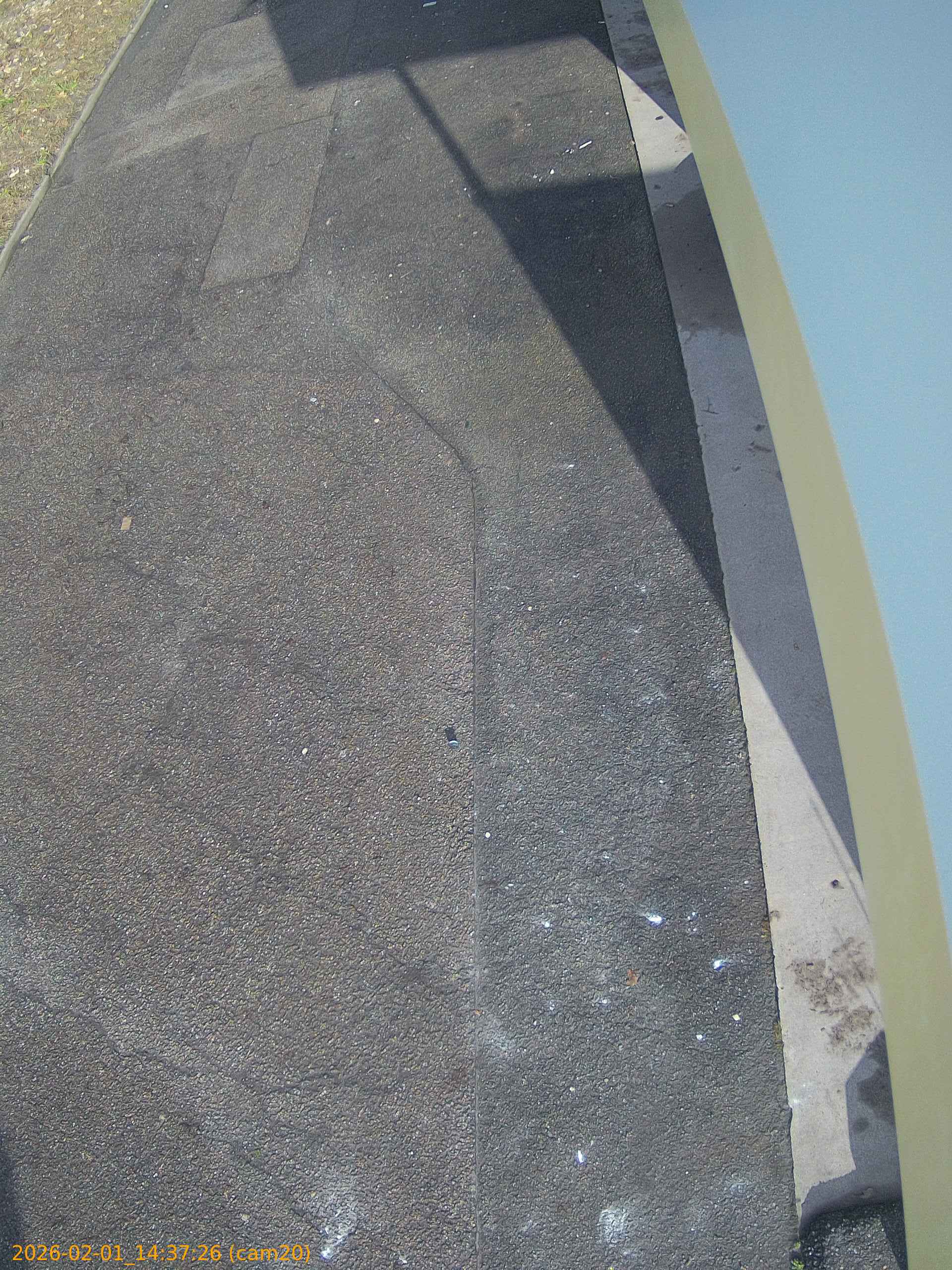 thumbnail_20260201143726