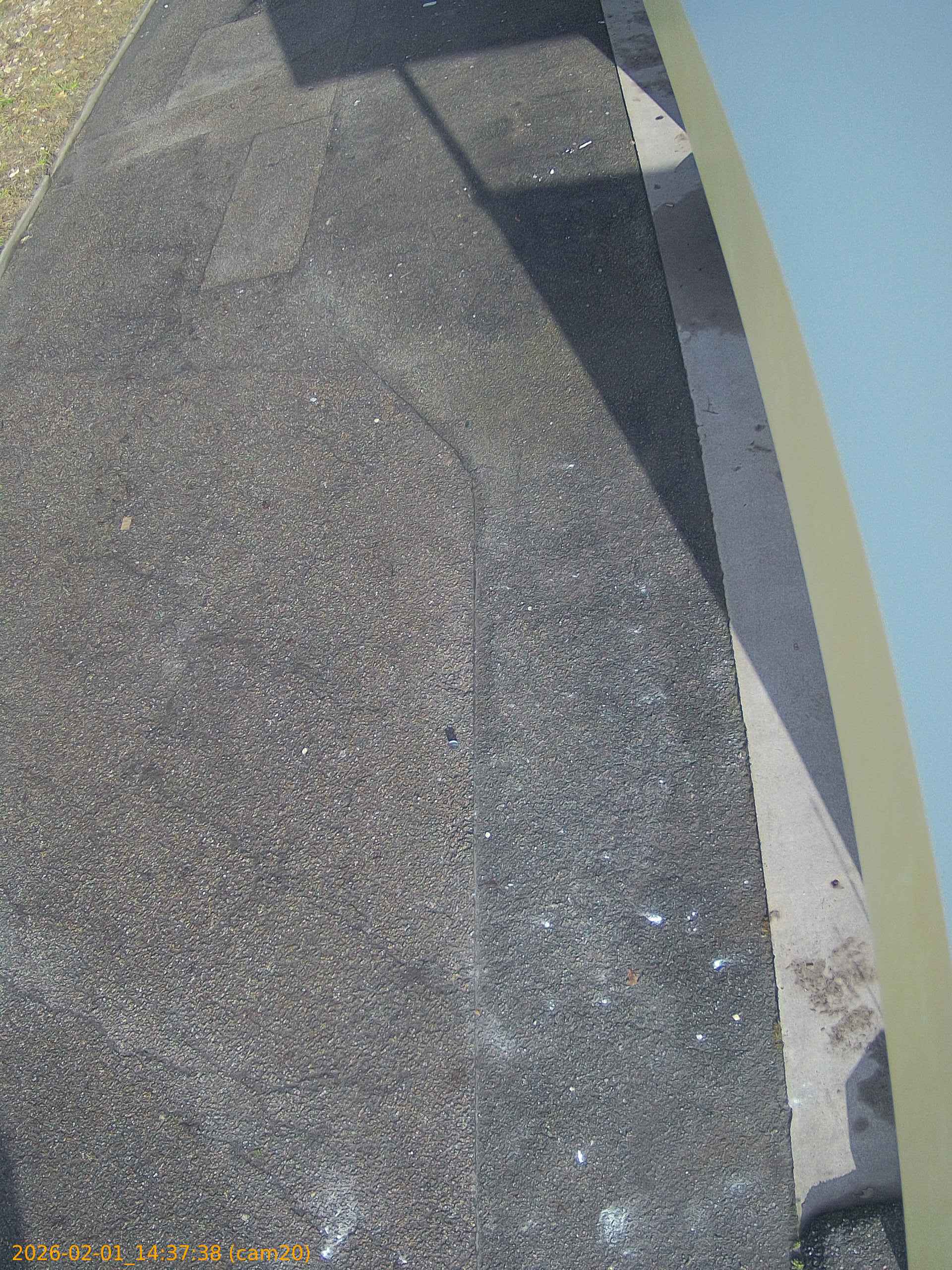 thumbnail_20260201143737