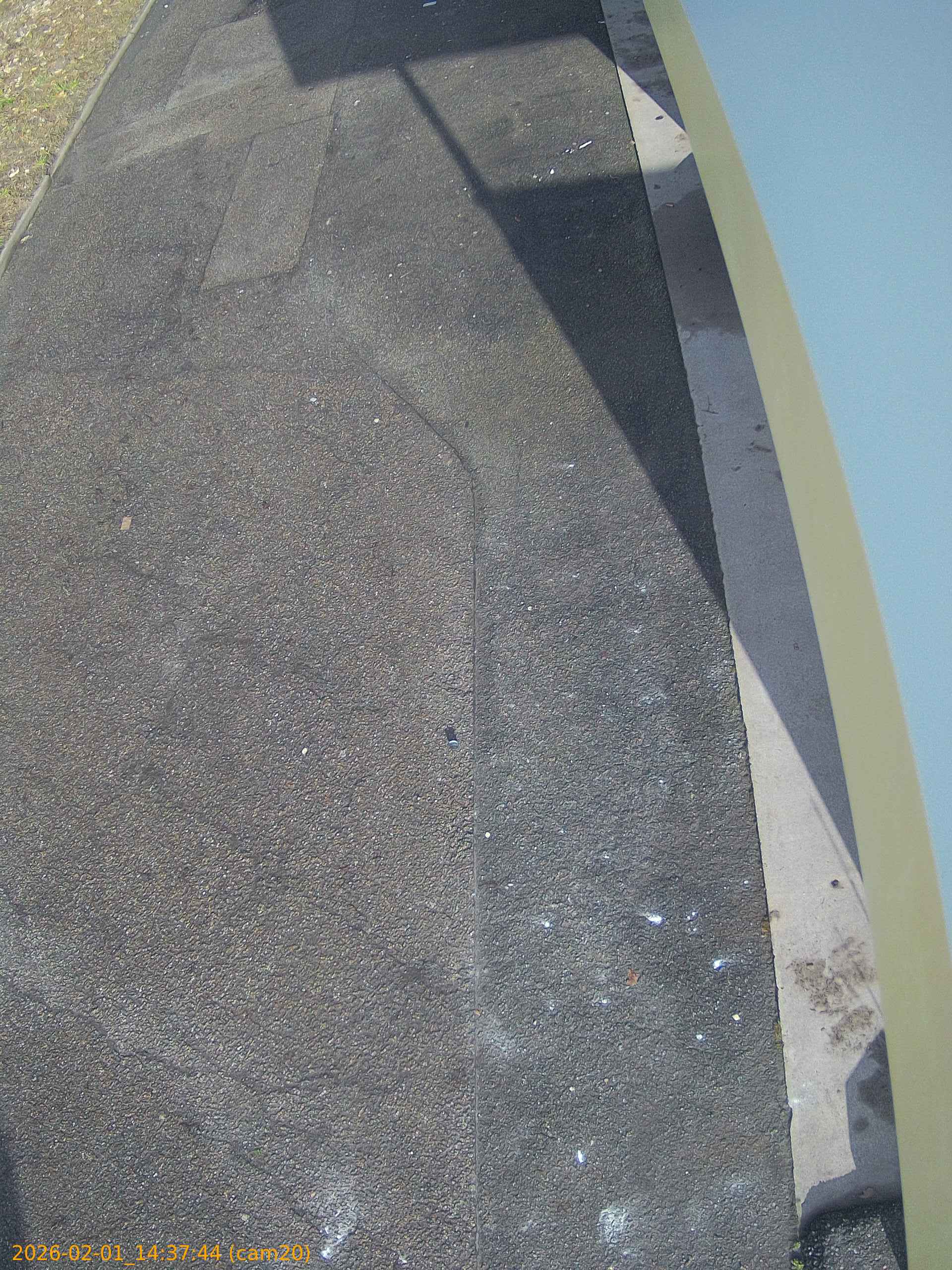 thumbnail_20260201143743