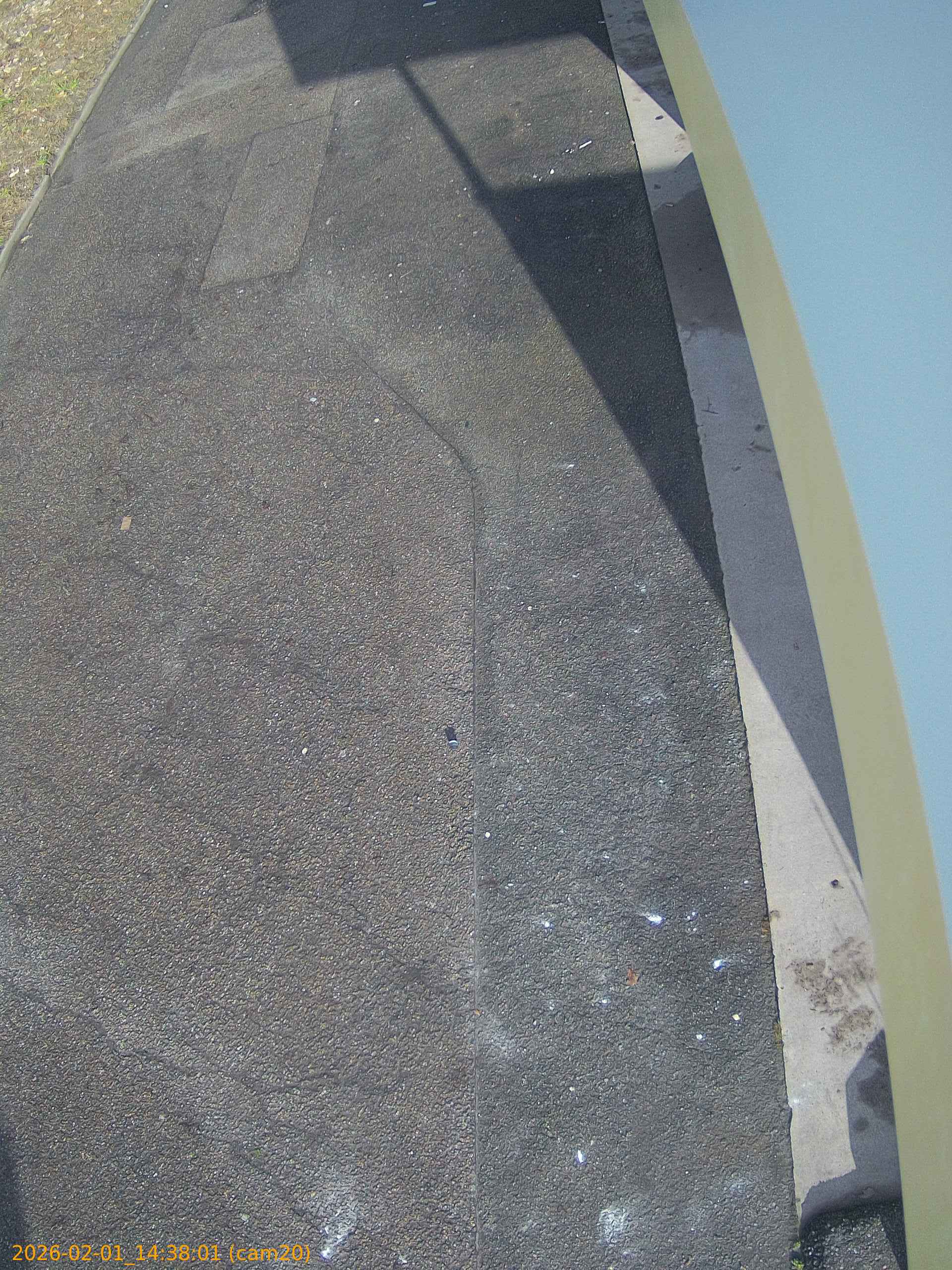 thumbnail_20260201143801