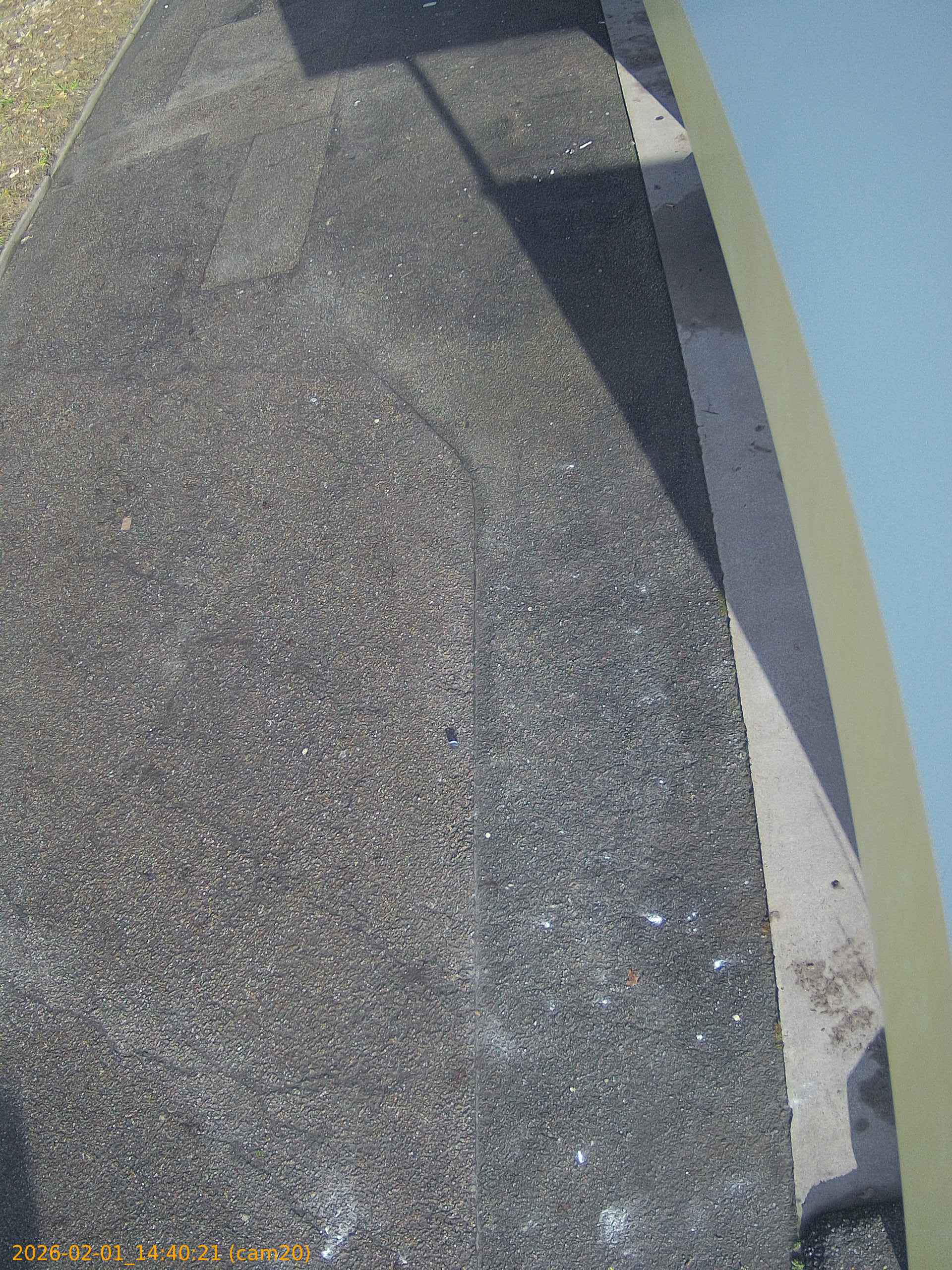 thumbnail_20260201144021