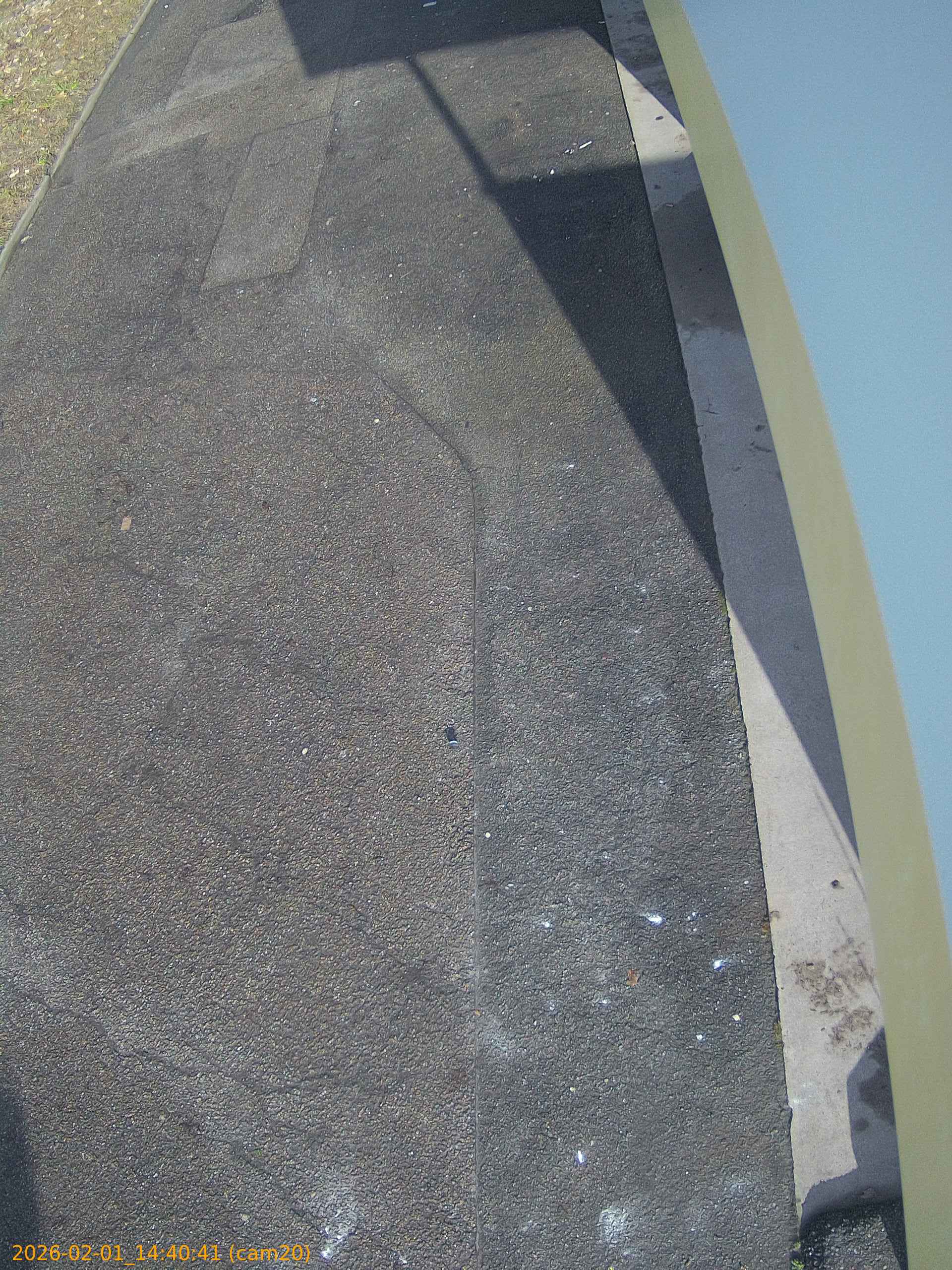 thumbnail_20260201144041