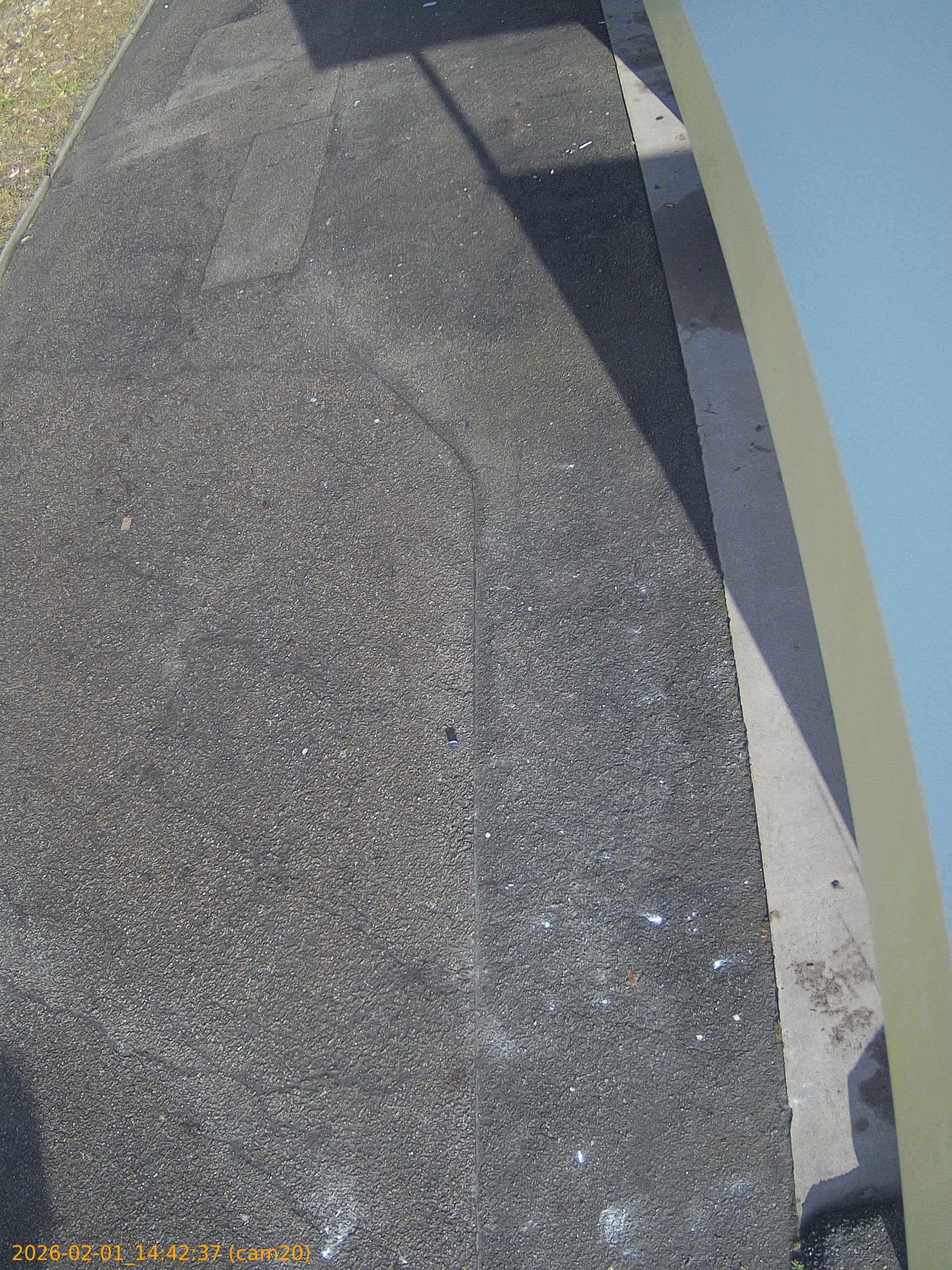 thumbnail_20260201144237