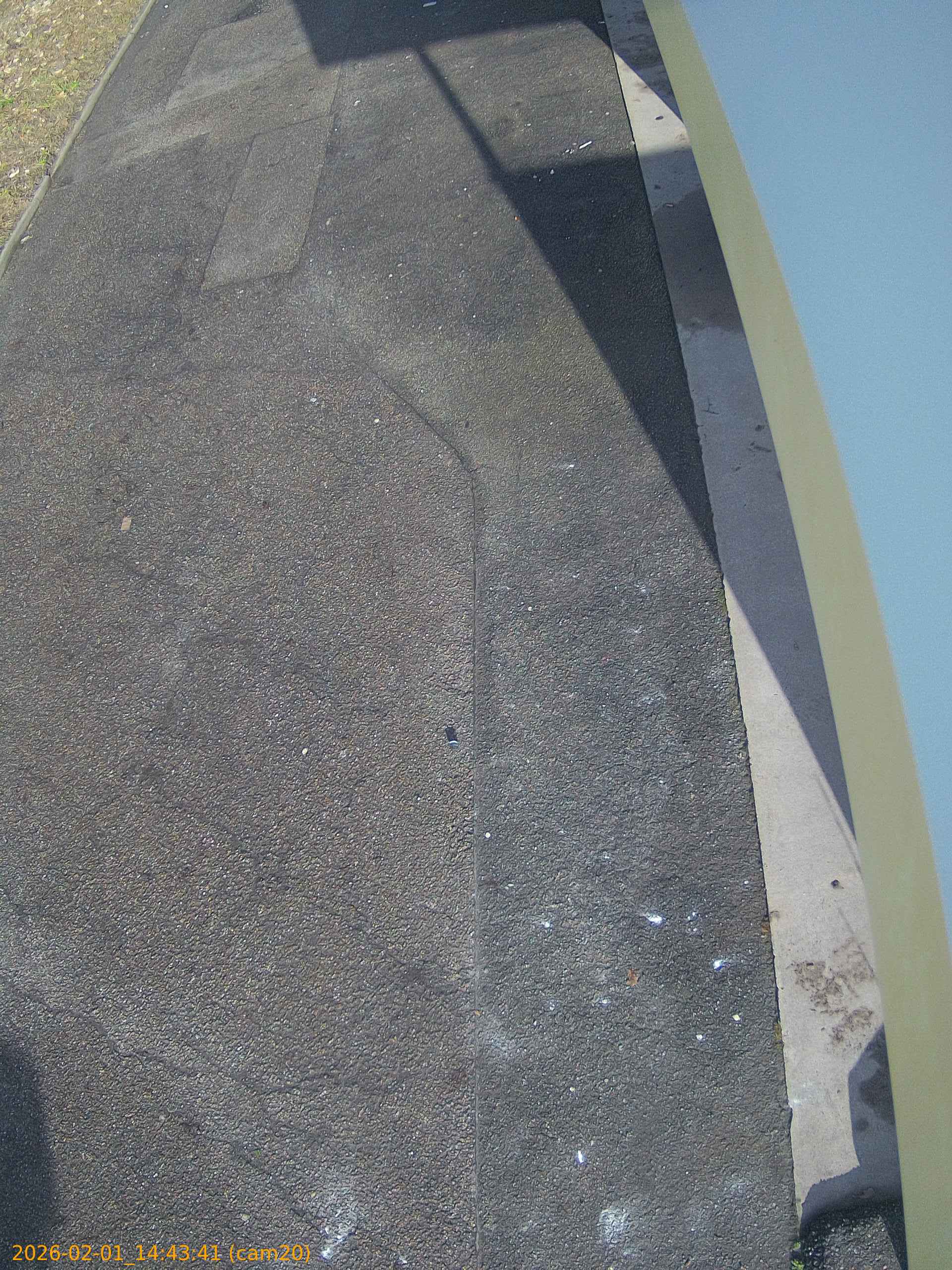 thumbnail_20260201144341