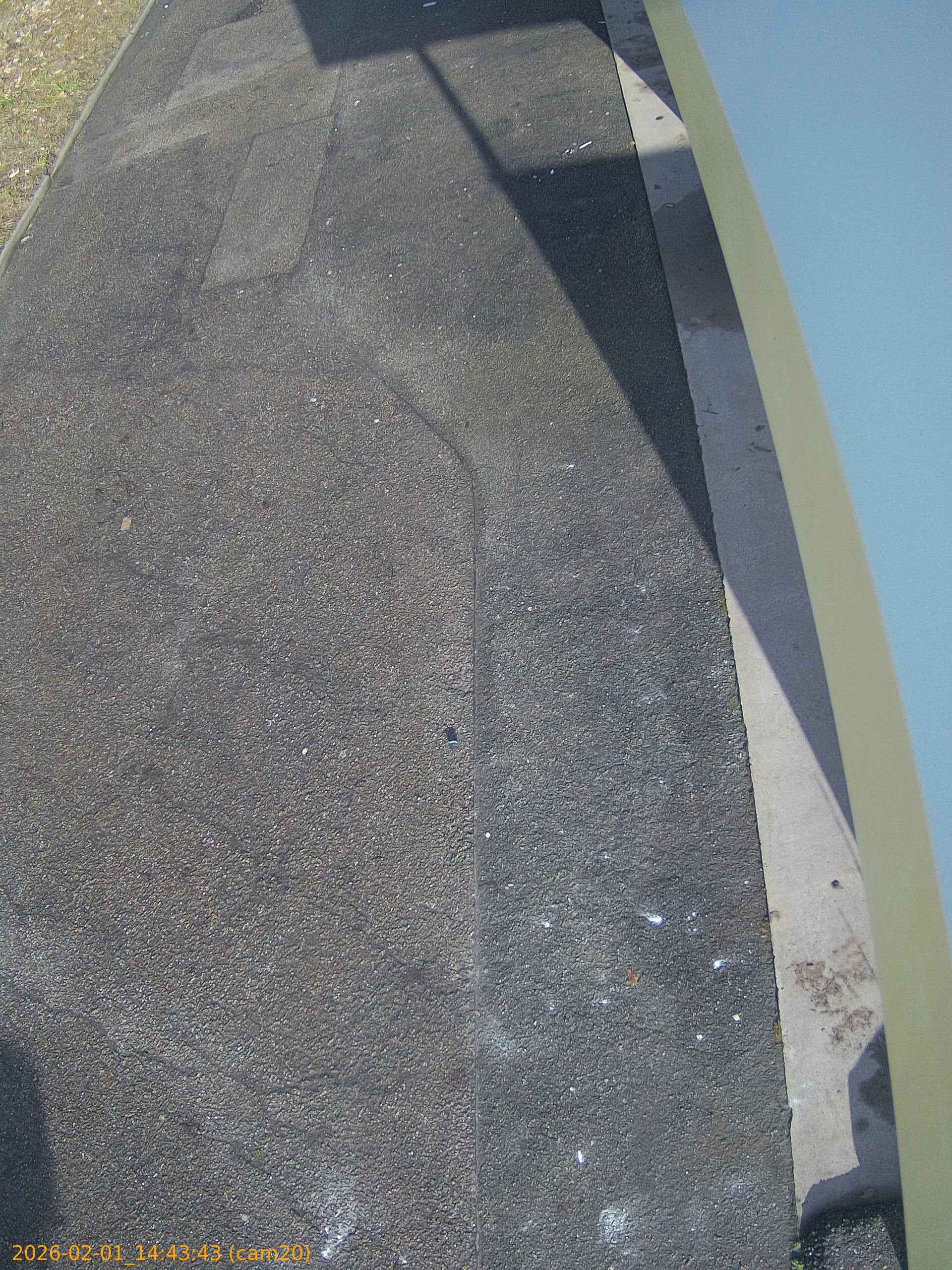 thumbnail_20260201144343