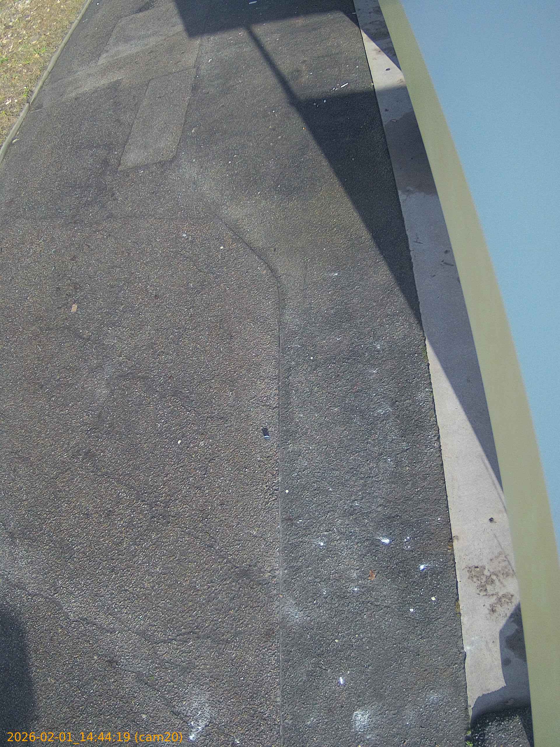 thumbnail_20260201144419