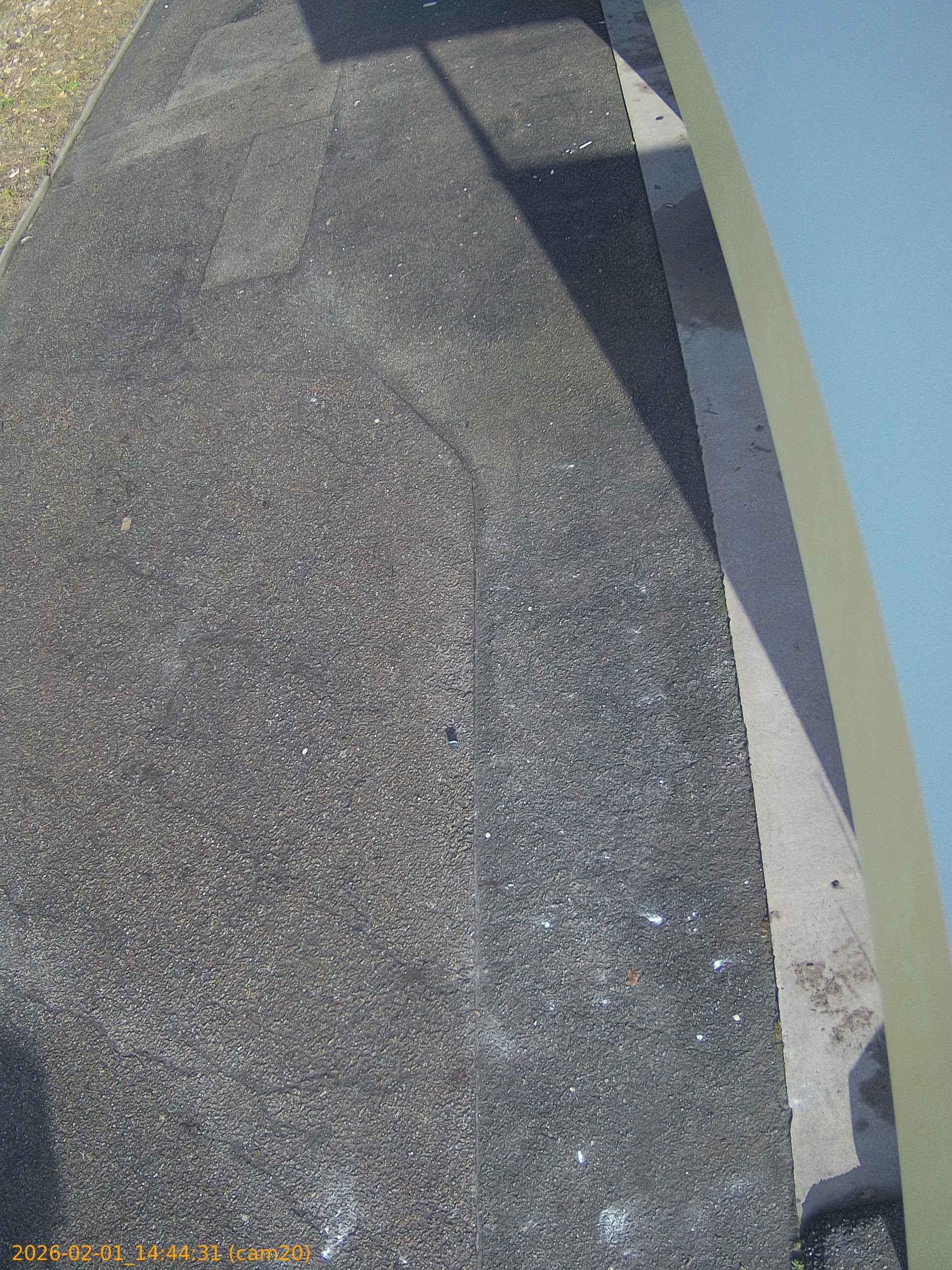 thumbnail_20260201144431