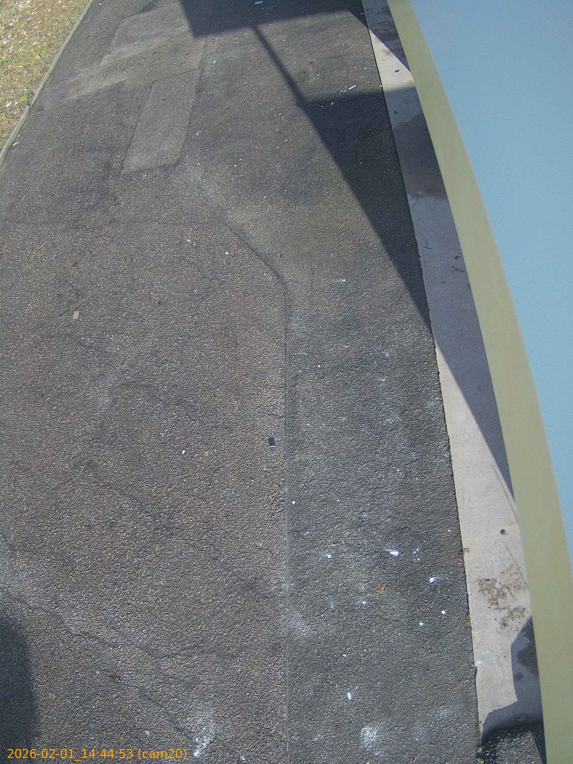 thumbnail_20260201144453