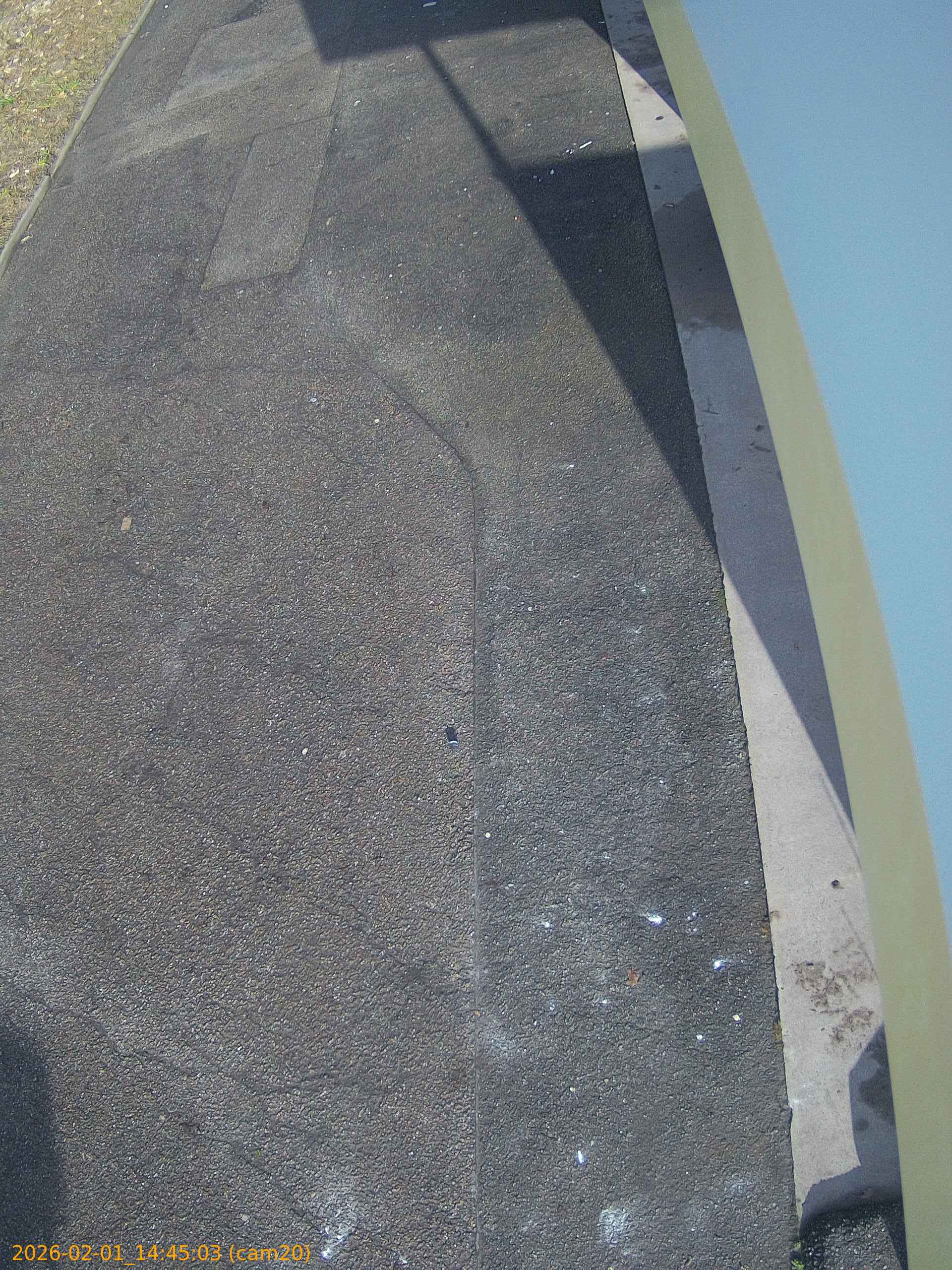 thumbnail_20260201144503