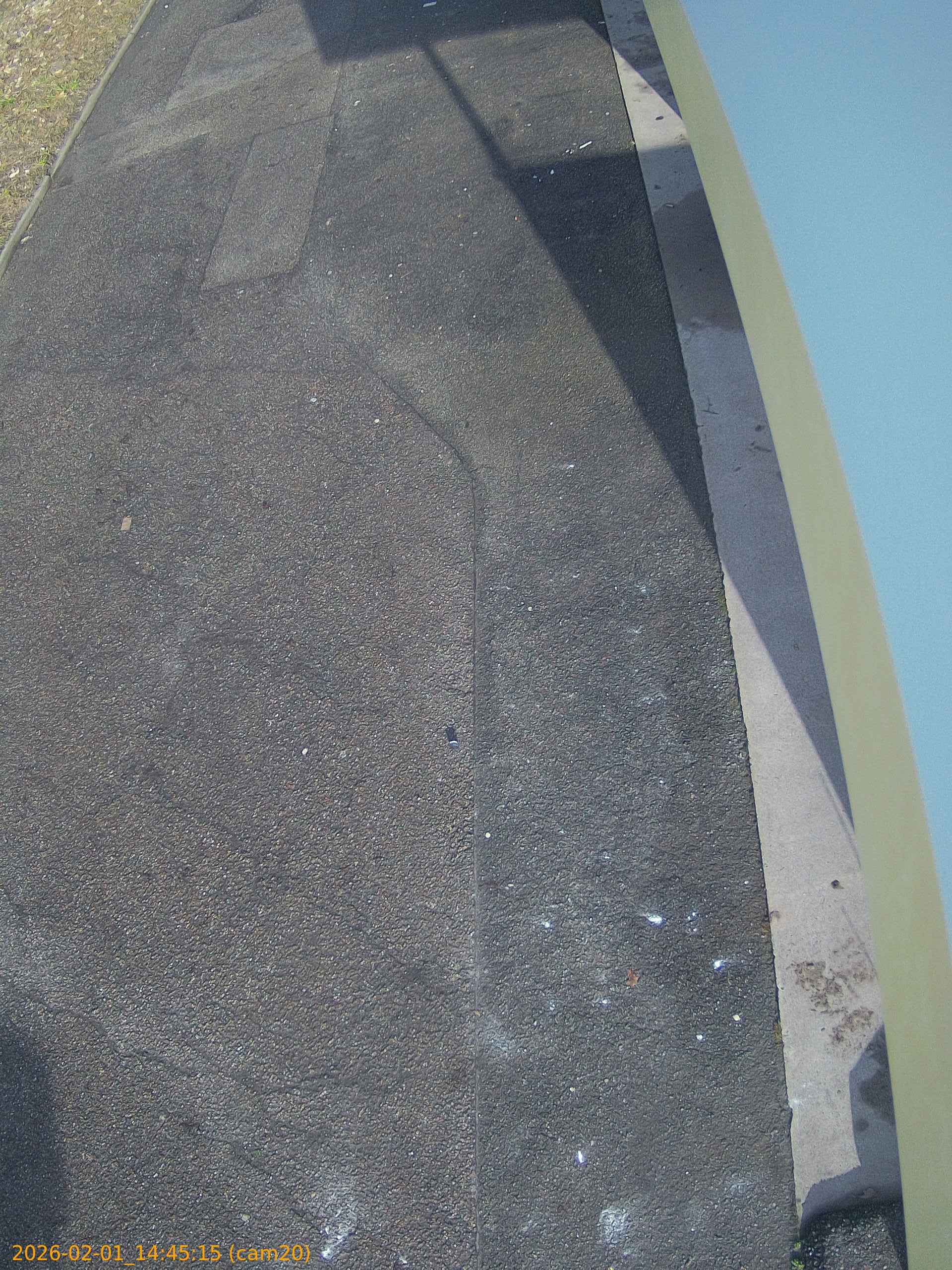 thumbnail_20260201144515