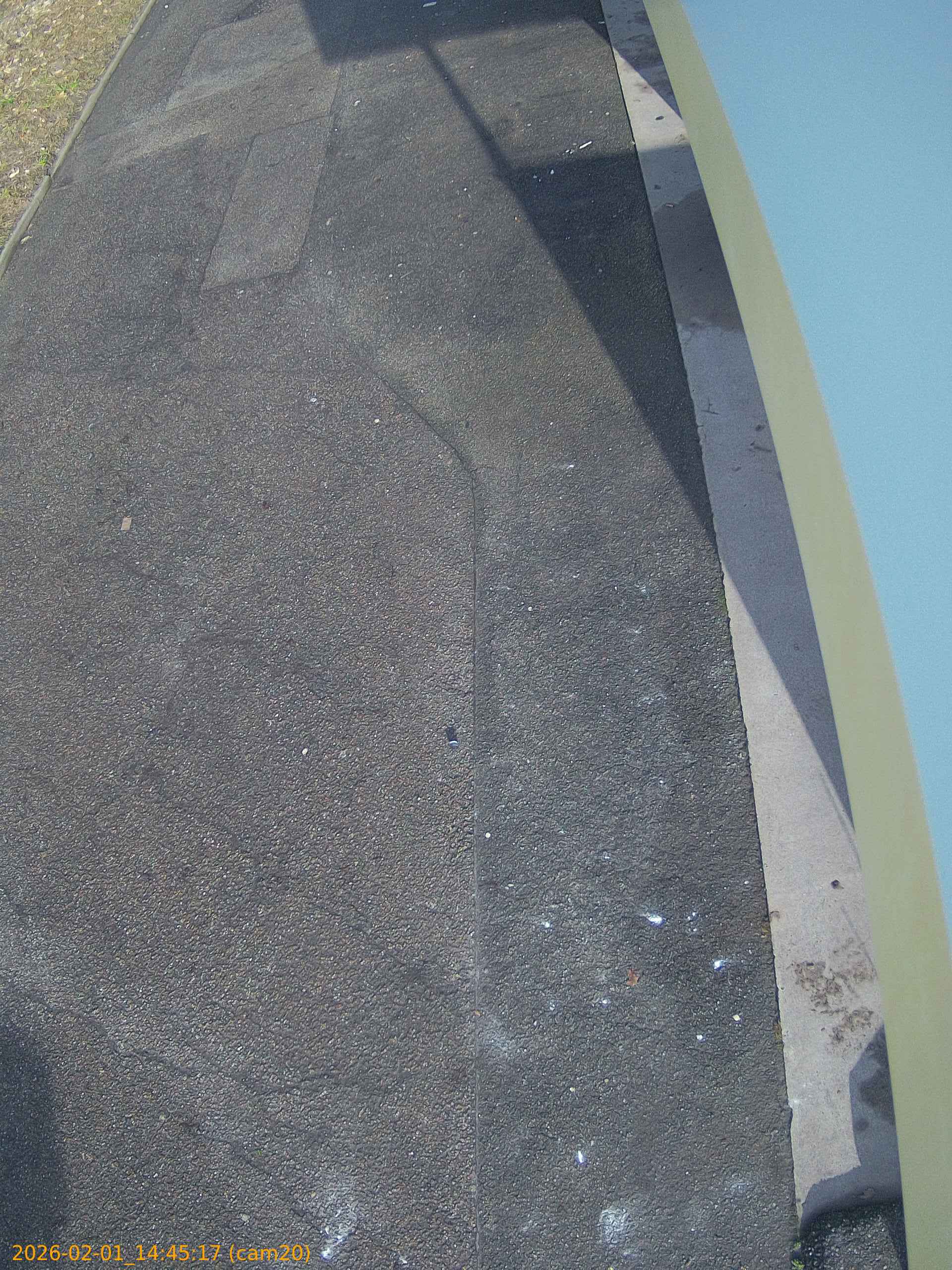 thumbnail_20260201144517