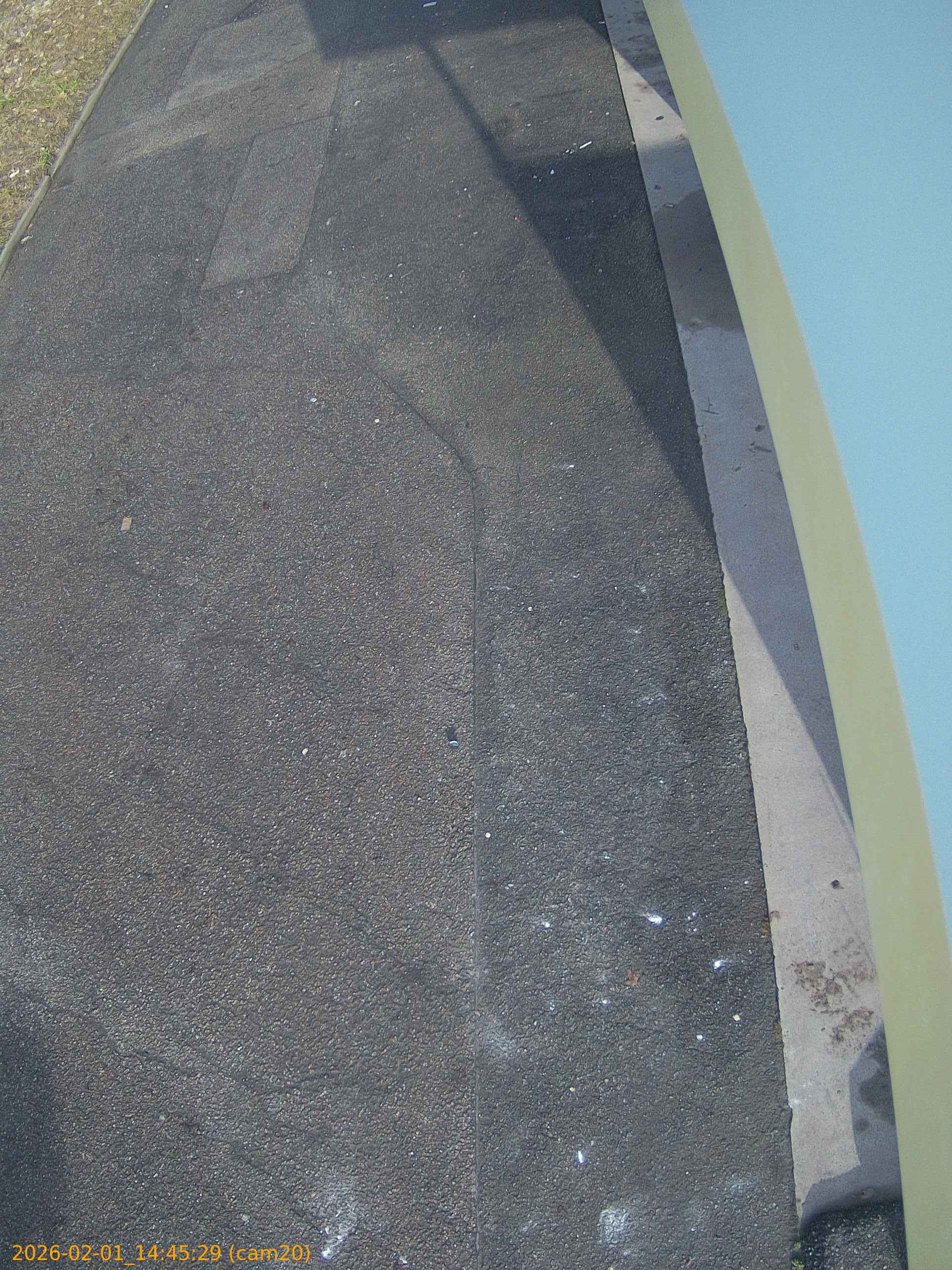 thumbnail_20260201144529