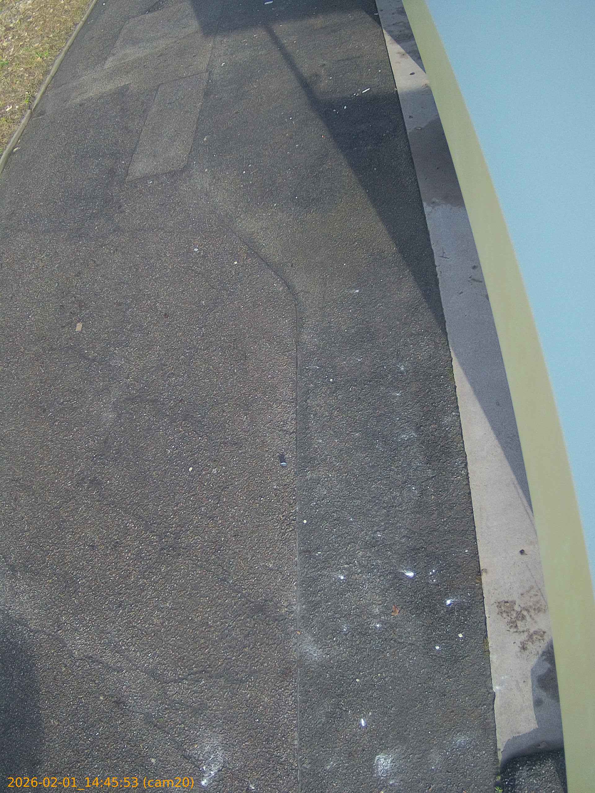 thumbnail_20260201144553