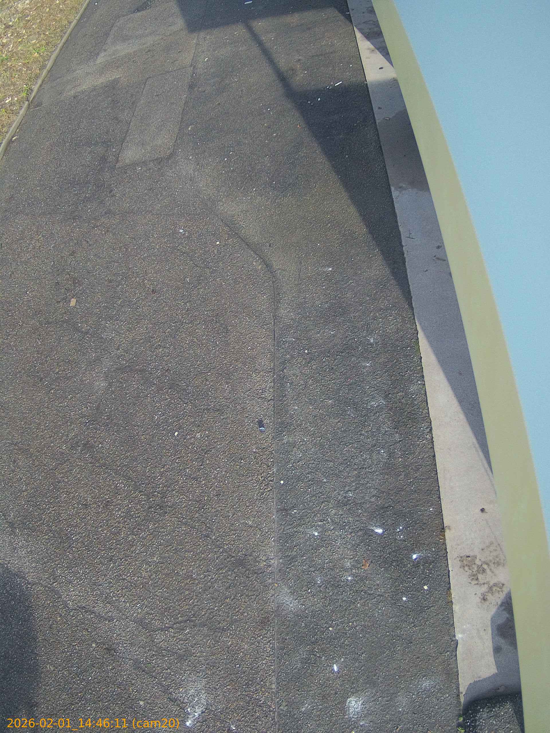 thumbnail_20260201144611