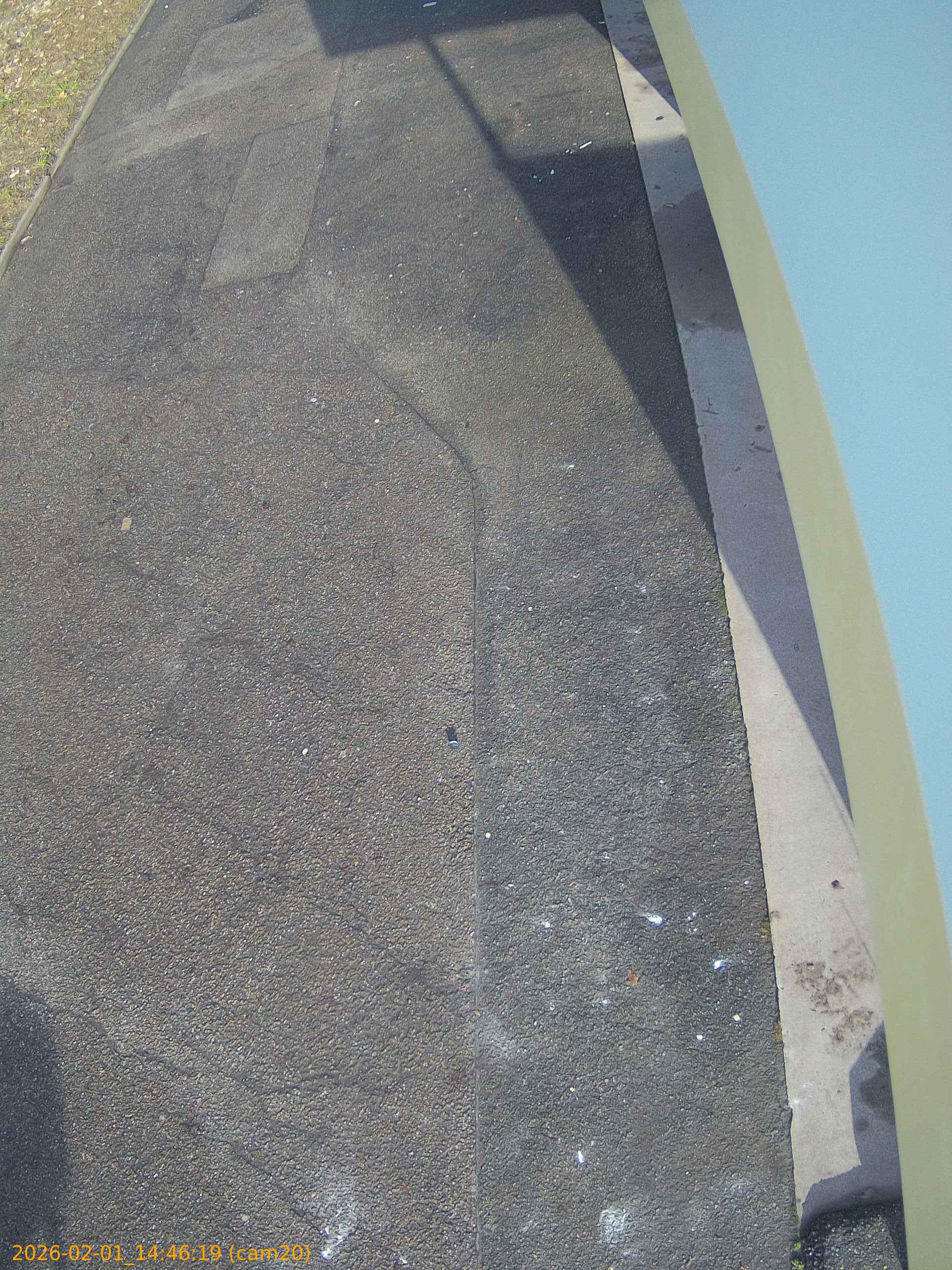 thumbnail_20260201144619