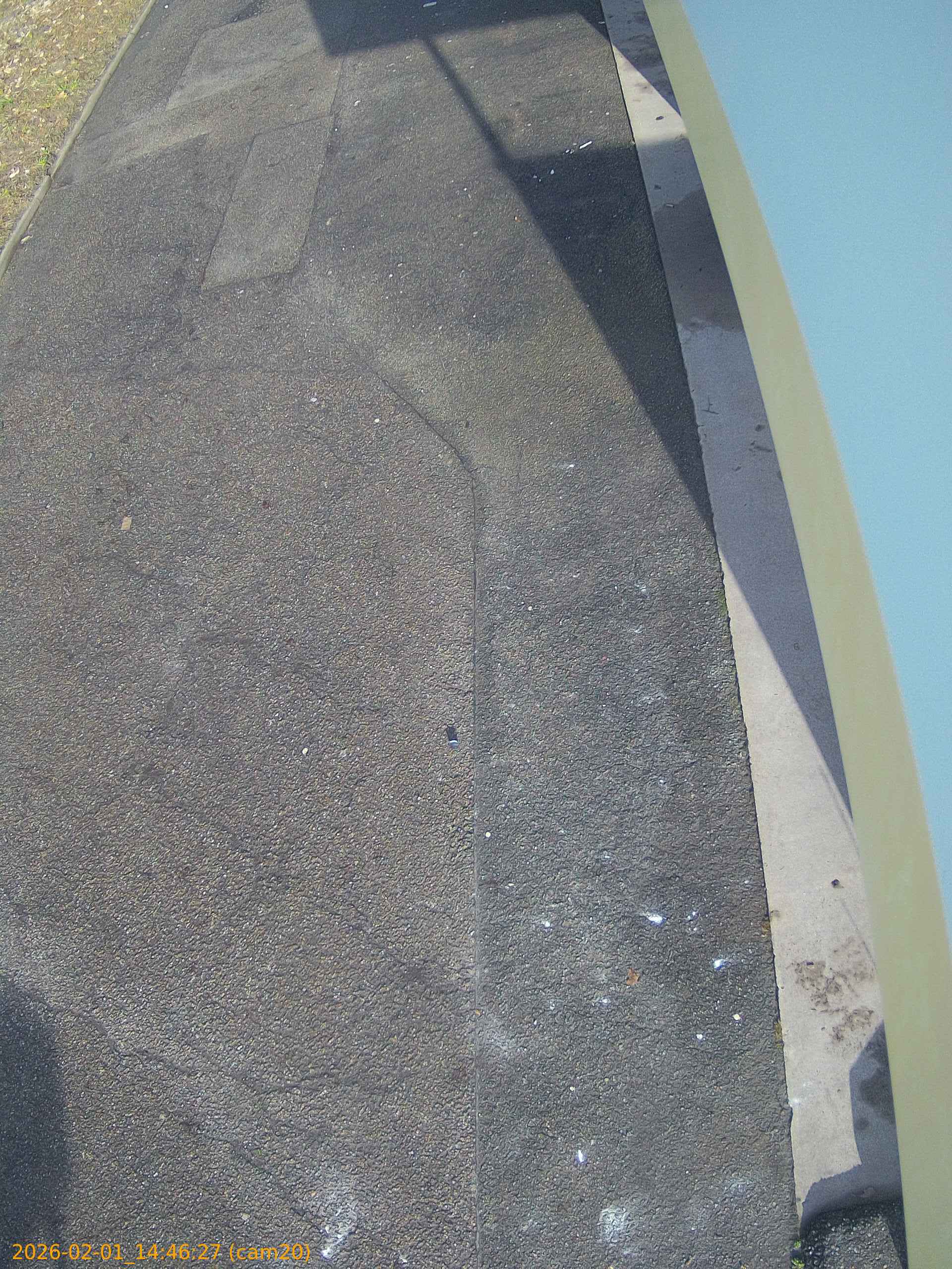 thumbnail_20260201144627